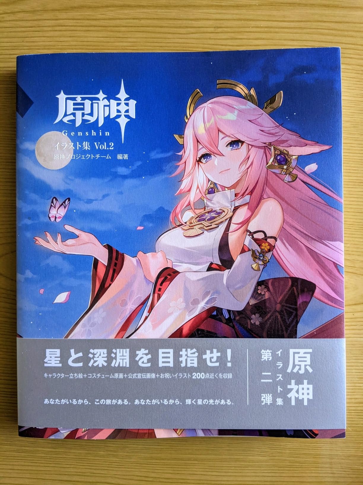 全ページフルカラー、みていて楽しい