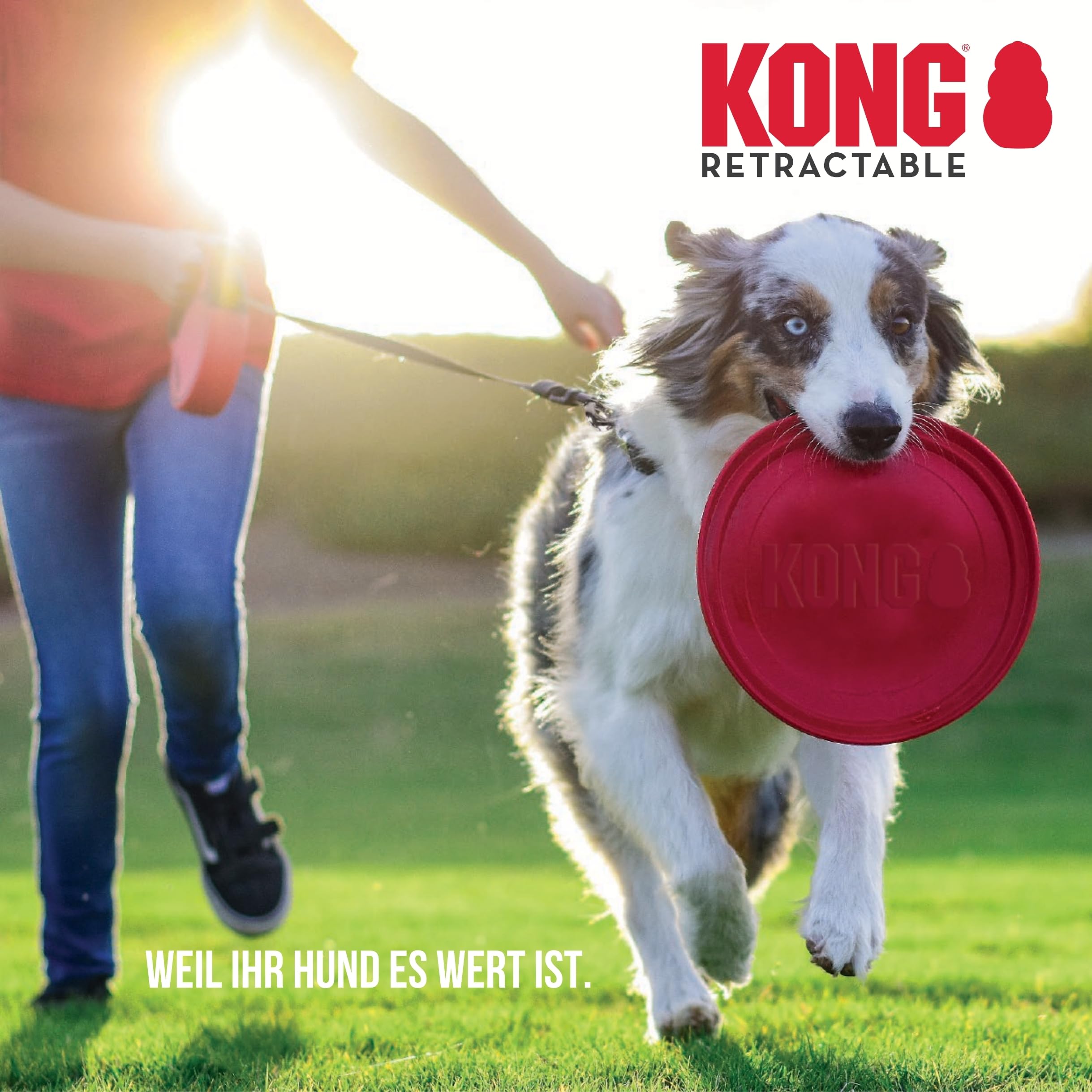 KONG Chiens terrestres Extensibles avec Une Sangle rétractitile Taille m (5m / 30 kg) Couleur Grise