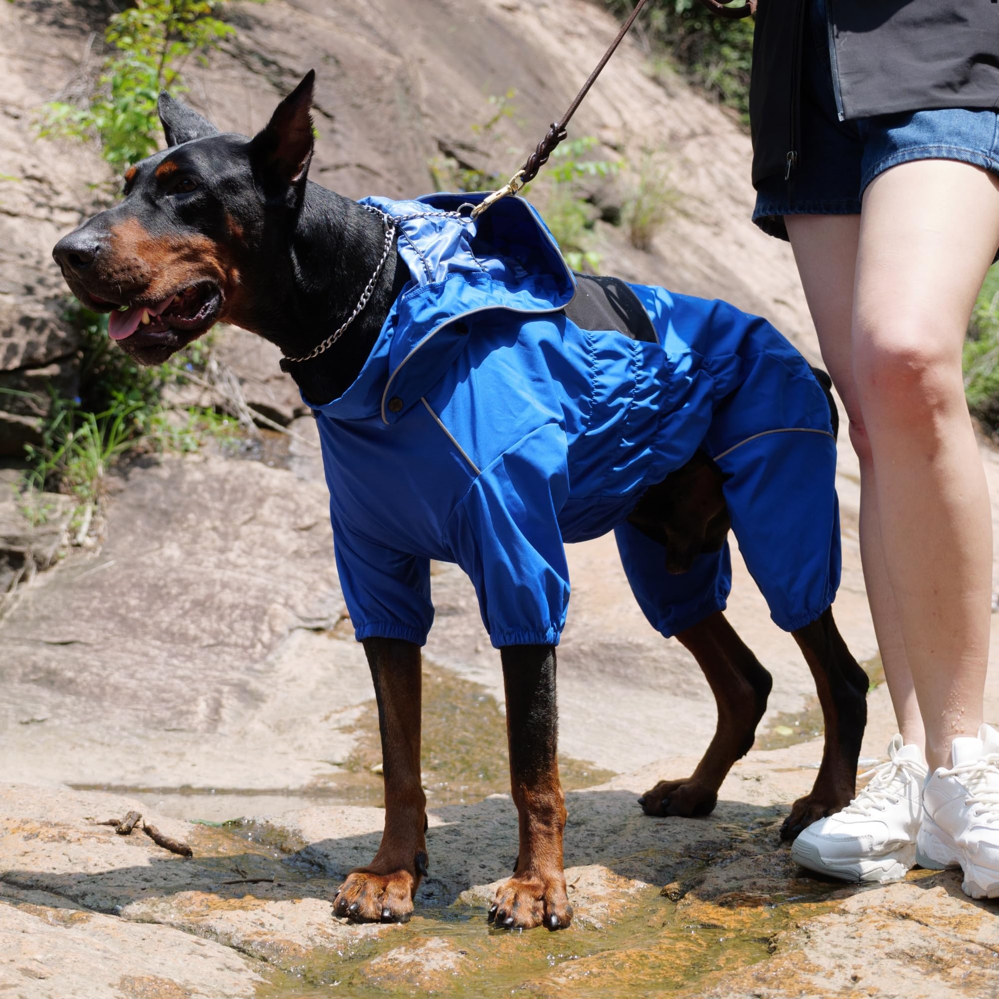 LOVELONGLONG Waterproof Dog Raincoat with Removable Hood, Outdoor Full Body Dog Jacket, Windproof Snowproof Shell Suit - Image 4