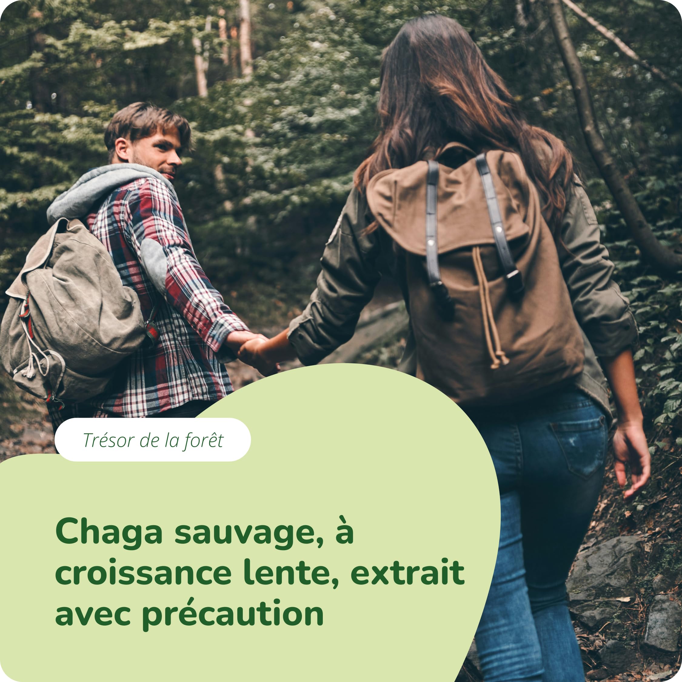 Chaga BIO Vegavero® | 12.000 mg de Poudre (1200 mg d'Extrait 10:1) | 40% Polysaccharides & 30% Bêta-Glucanes | 120 Gélules | Sans Additifs & Vegan