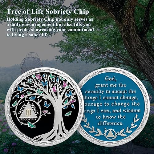 Miniatura 5 de Moneda de sobriedad de 2 años, chips AA y medallones del árbol de la vida, ficha de recuperación de sobriedad  Regalos de sobriedad para hombres y