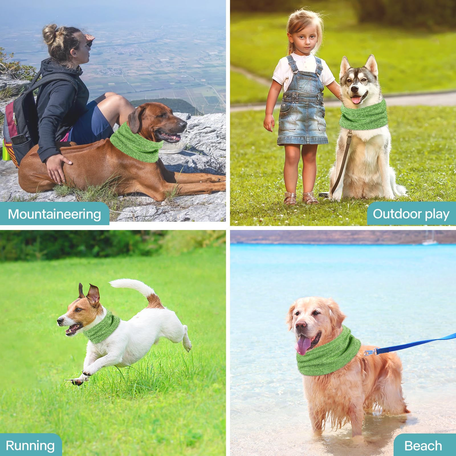 Collare di Raffreddamento per Cani, Collare Rinfrescante per Cani, per Rinfrescare Cane Estate