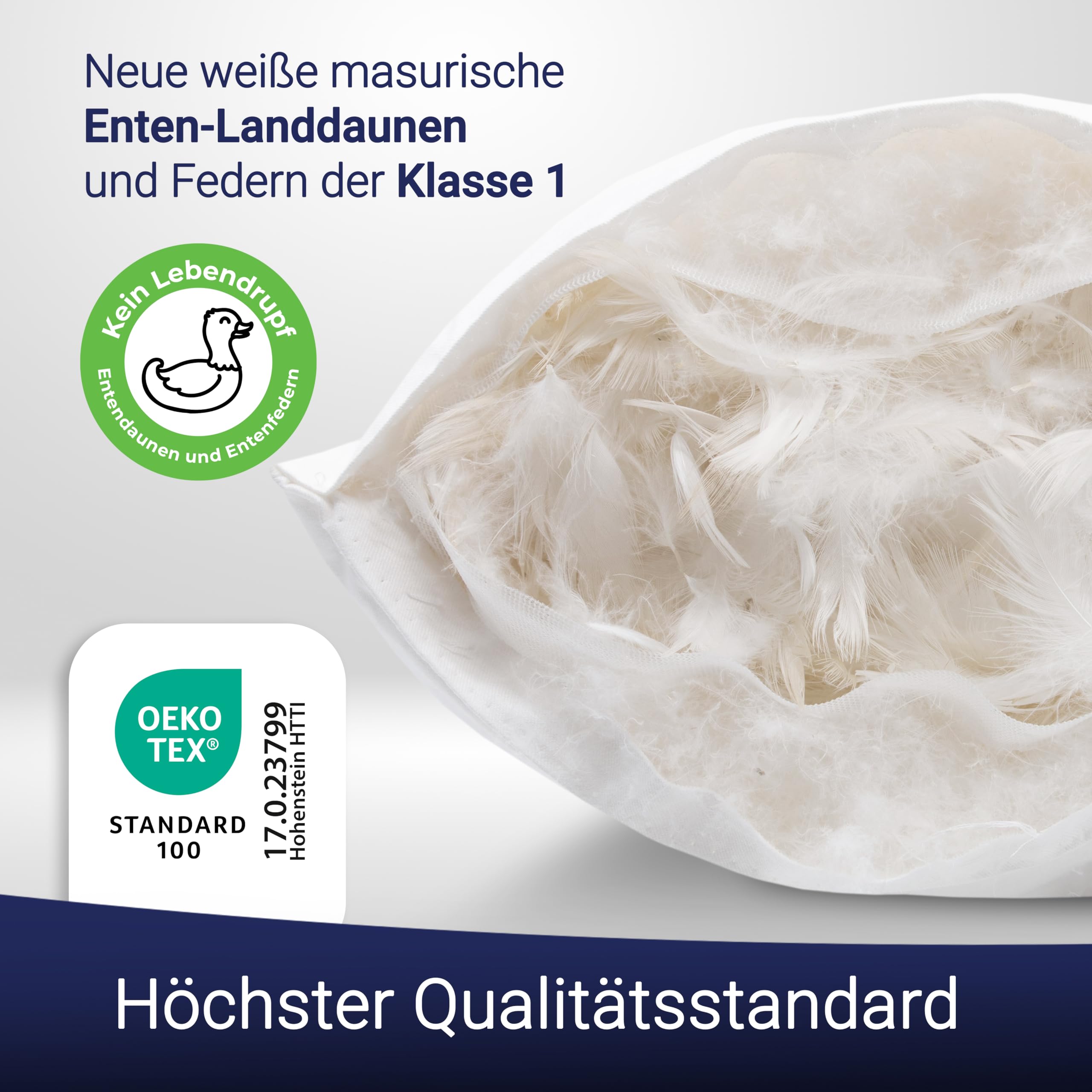 ZOLLNER Premium Federkissen mit Daunenanteil - Made in Germany – für Allergiker geeignet – Bezug aus hochwertiger Mako Baumwolle - waschbar bis 60°C – 80x80 cm - Hotelqualität