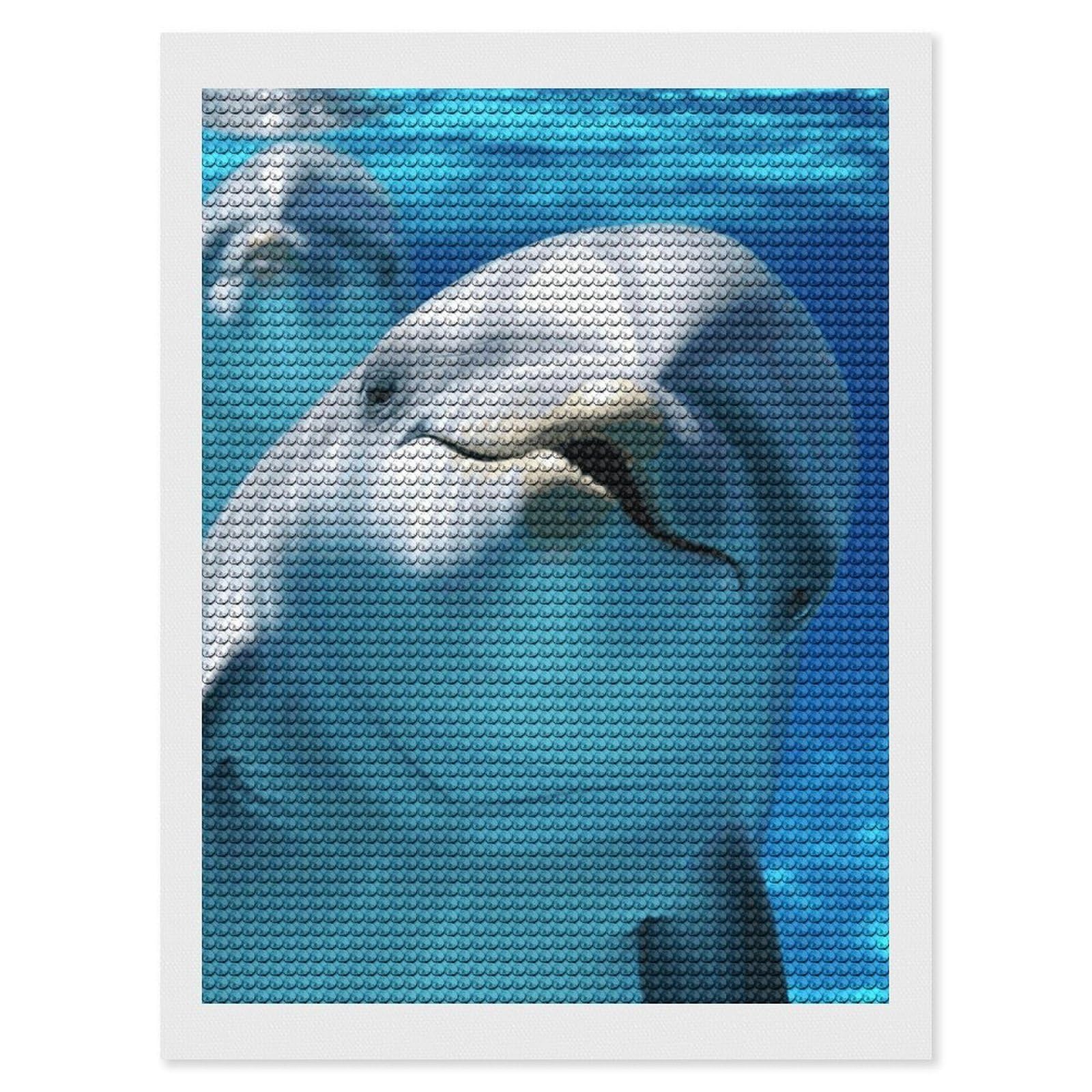 FekiLoot Dolphin with A Smile Diamond Art Kits for Adults, 5D Aurora Diamond Painting Kits for Beginners DIY Full Drill Dots Gem Art Paint Crafts for Home Wall Decor 12"x16"