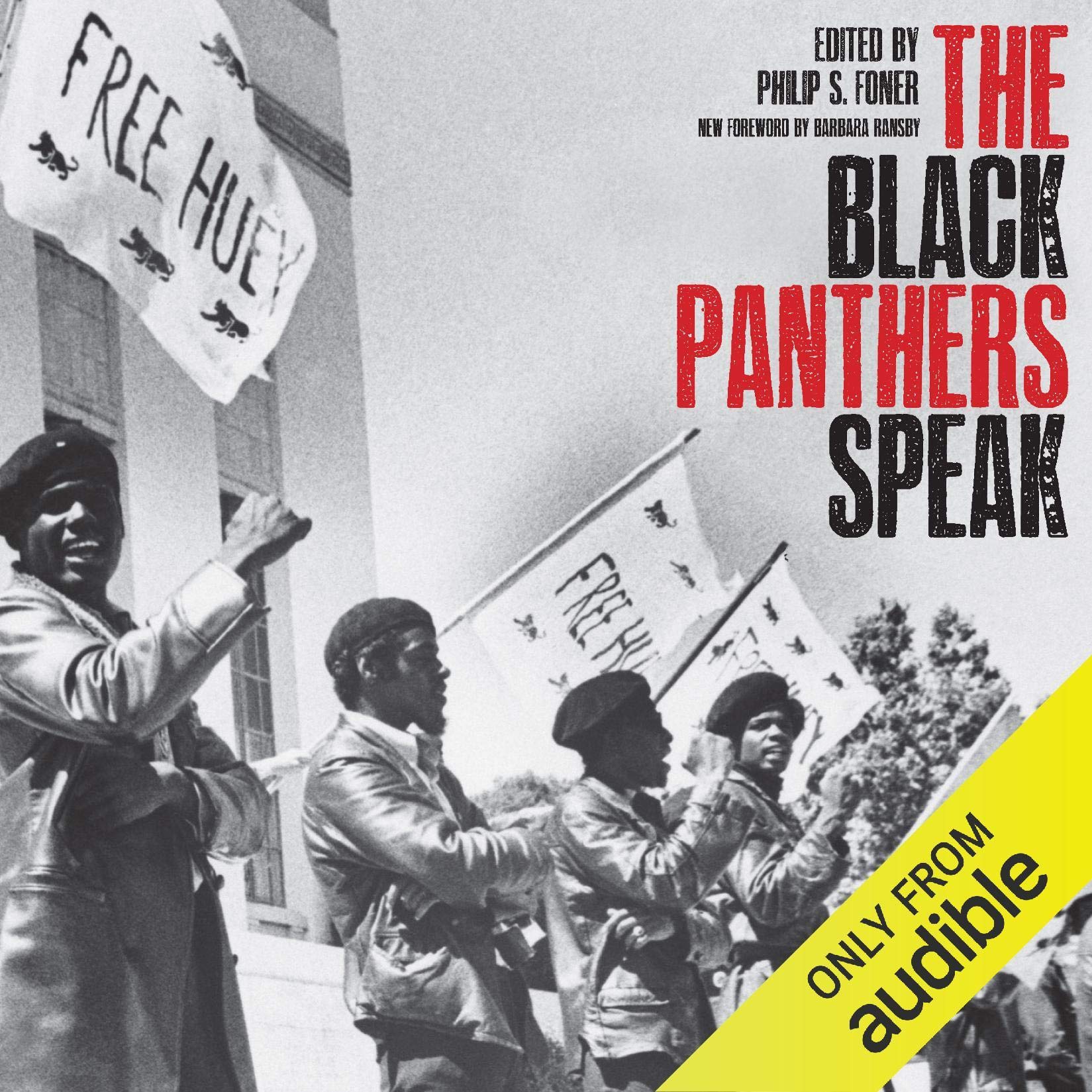 The Black Panthers Speak