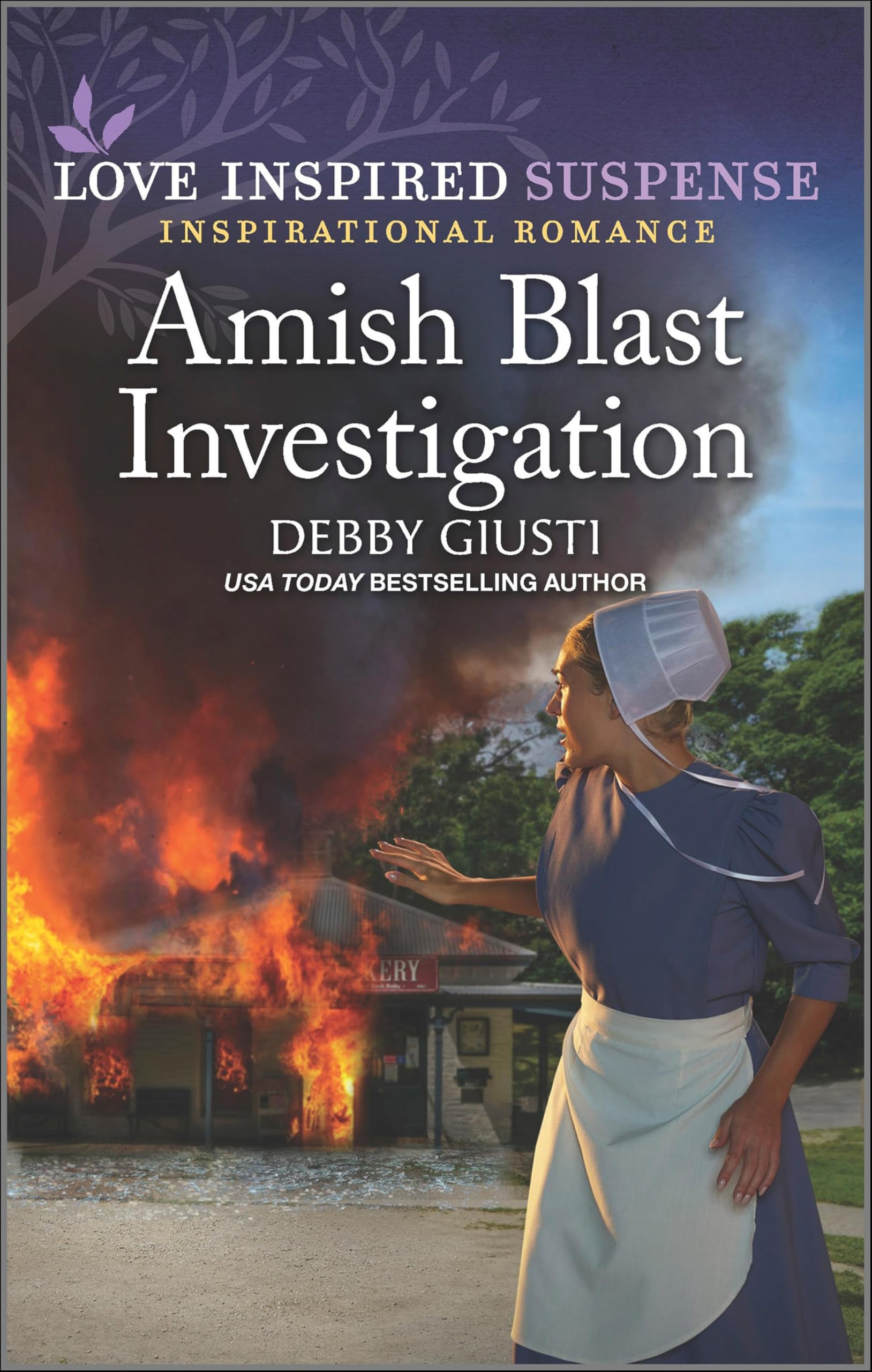 Buy Amish Blast Investigation — BookShops.in