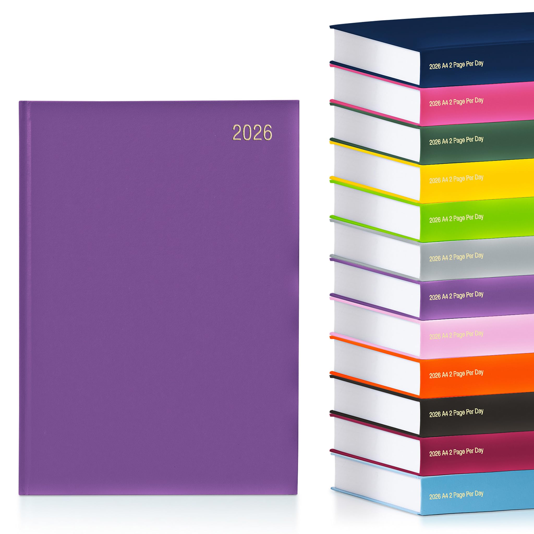 evelay 2026 A4 2 Page Per Day Diary - Hardback Daily Planner Organiser - Large Writing Space for School Home Office & Personal Use (A4, Purple)