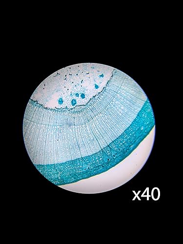 Miniatura 5 de BARSKA Microscopio monocular del compuesto 40x-640x del estudiante