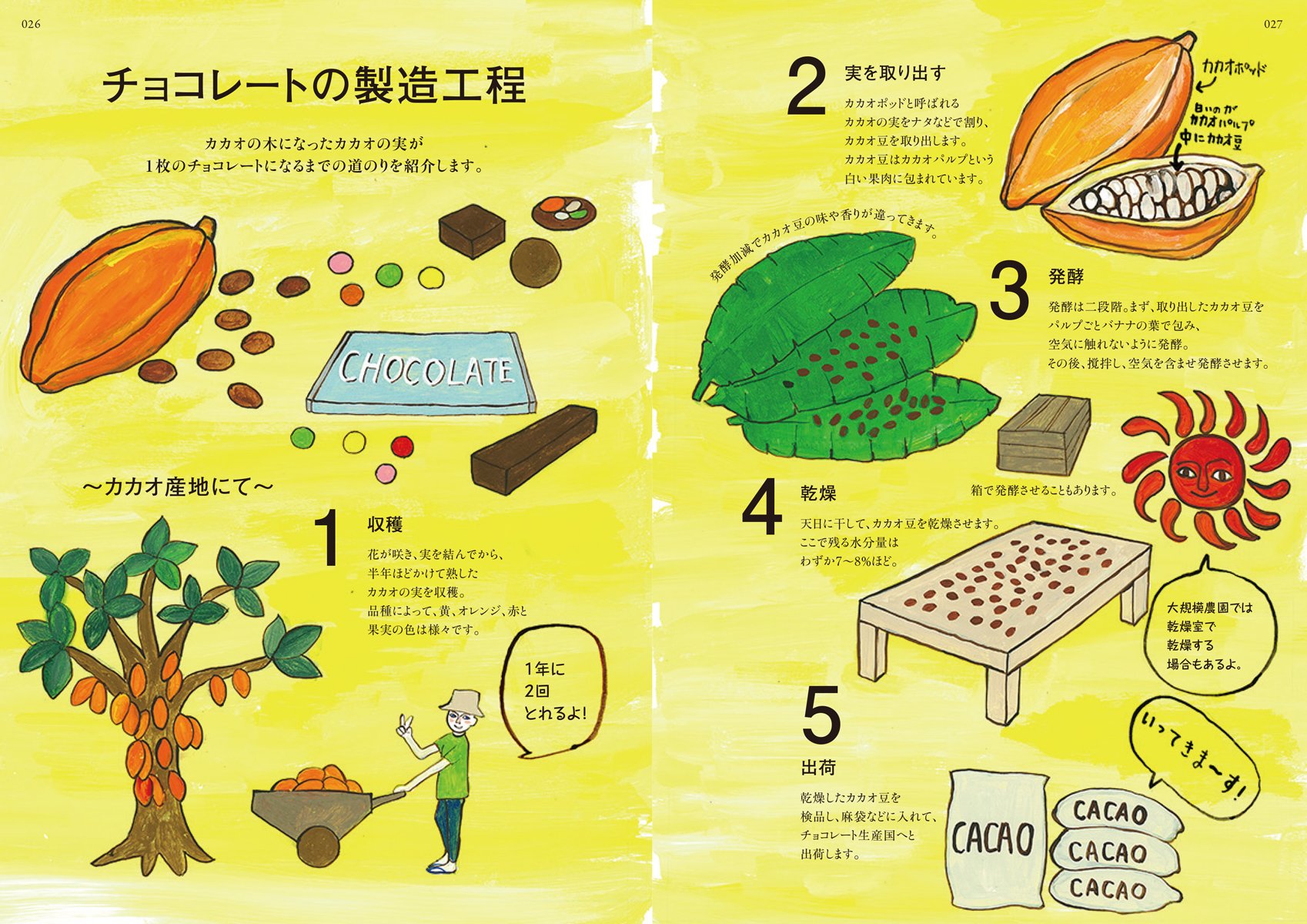 チョコレート語辞典 チョコレートにまつわることばをイラストと豆知識で甘 く読み解く 理馨子 Dolcerica香川 麻里子 千住 本 通販 Amazon