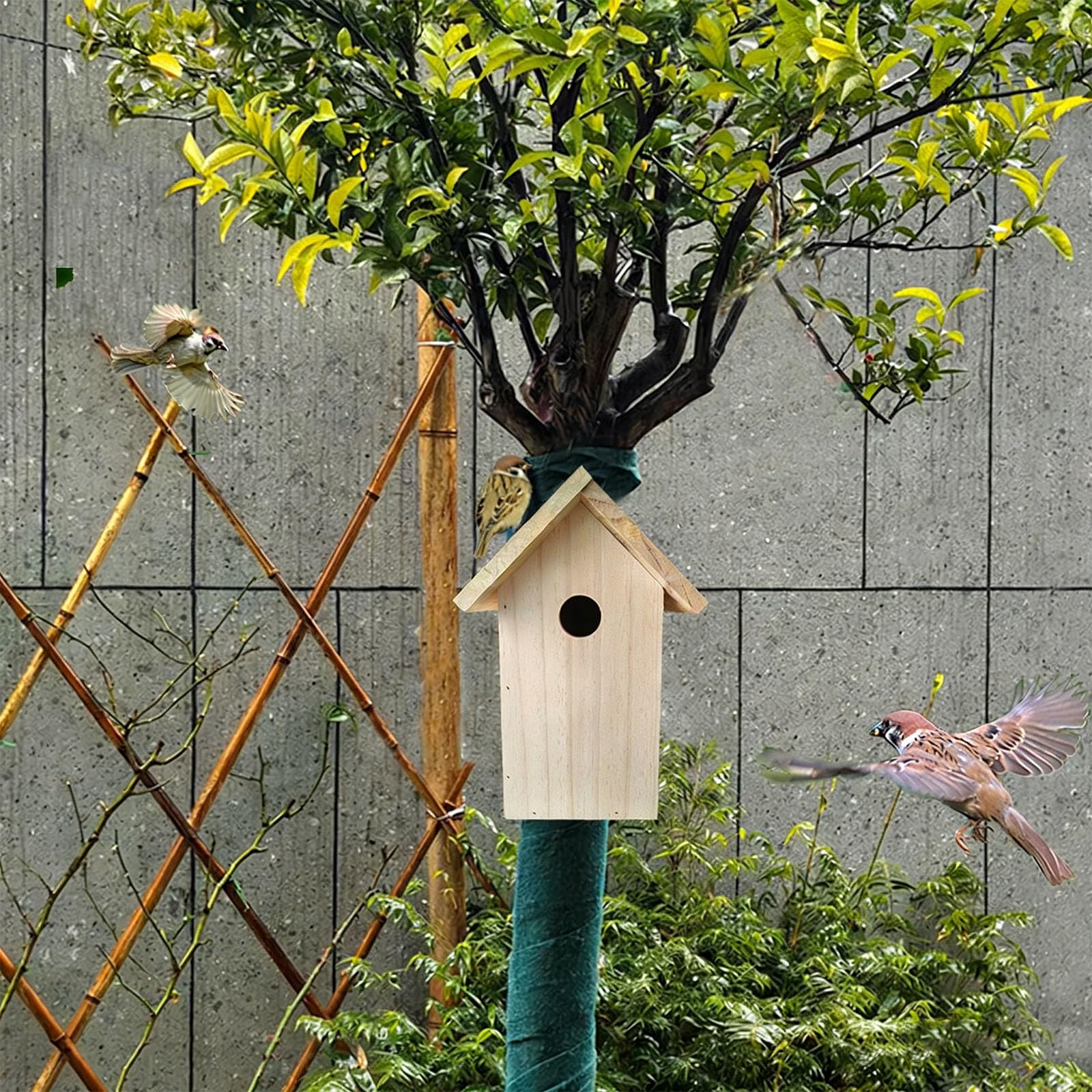 Genérico Casita para Pájaros De Madera Natural, Fabricada En Pino con Un Diseño Resistente A La Intemperie, Superficie Pintada Personalizable, Entrada De 3 Cm + Dimensiones De 26 X 14,5 X 12,3 Cm