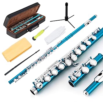 EastRock Closed Hole Flutes C 16 Key for Beginner, Kids, Student -Nickel Flute with Case Stand and Cleaning kit (Sea Blue)