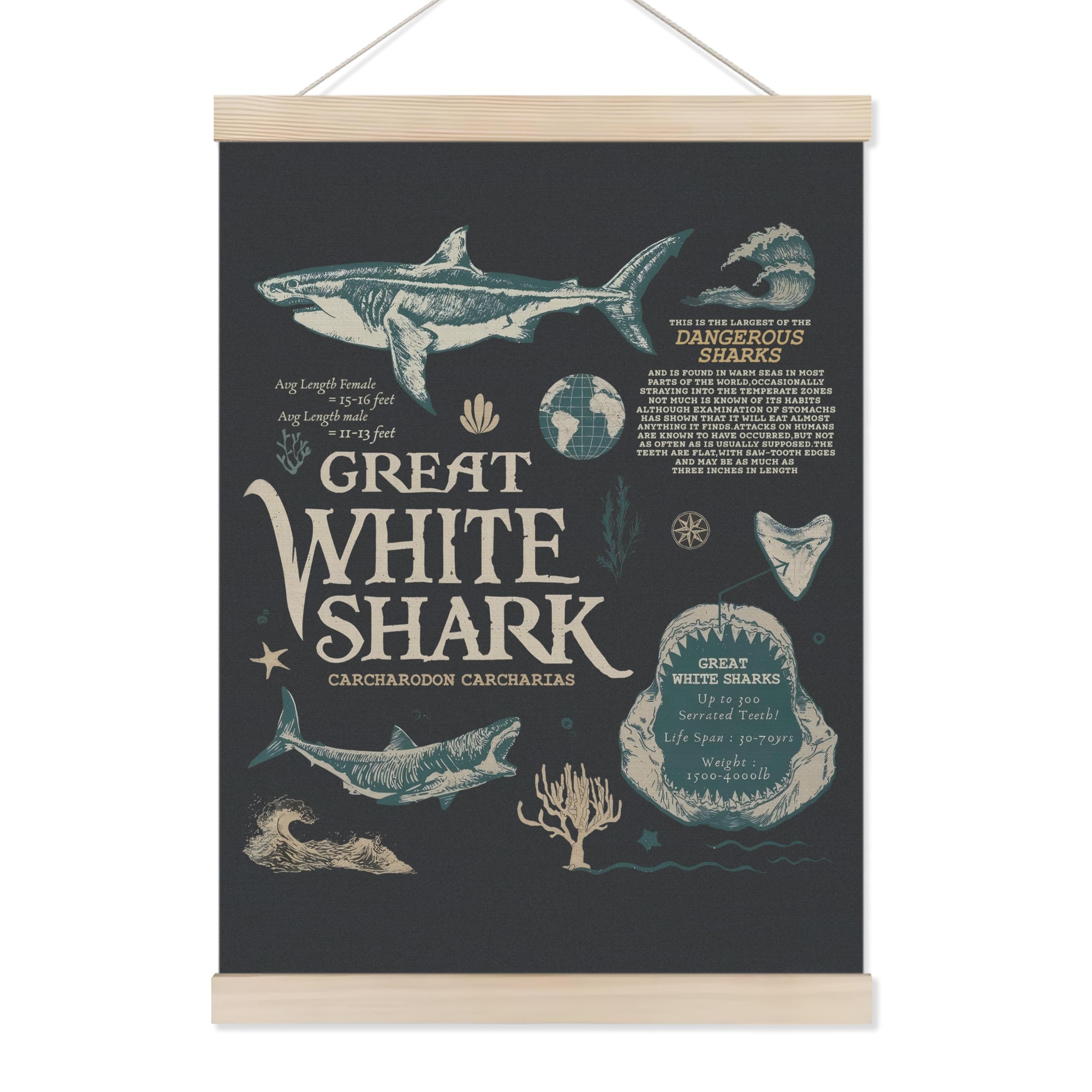 Koesus Ocean Beach White Shark Wall Art Poster Hanger Frame 12x16 Inch, Retro 90s Y2K Great White Shark Biology Canvas Pictures Prints Framed Wall Decor for Home Bedroom Classroom