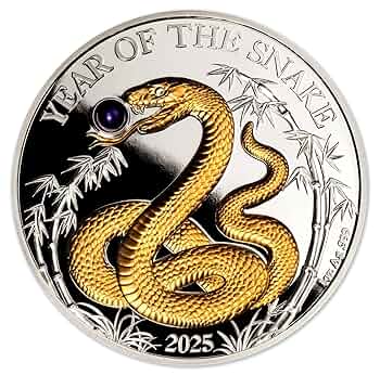 【廃盤】SNAKES,THE QONOS vs SNAKES 81za1KGxrLL._UF350,350_QL50_.jpg