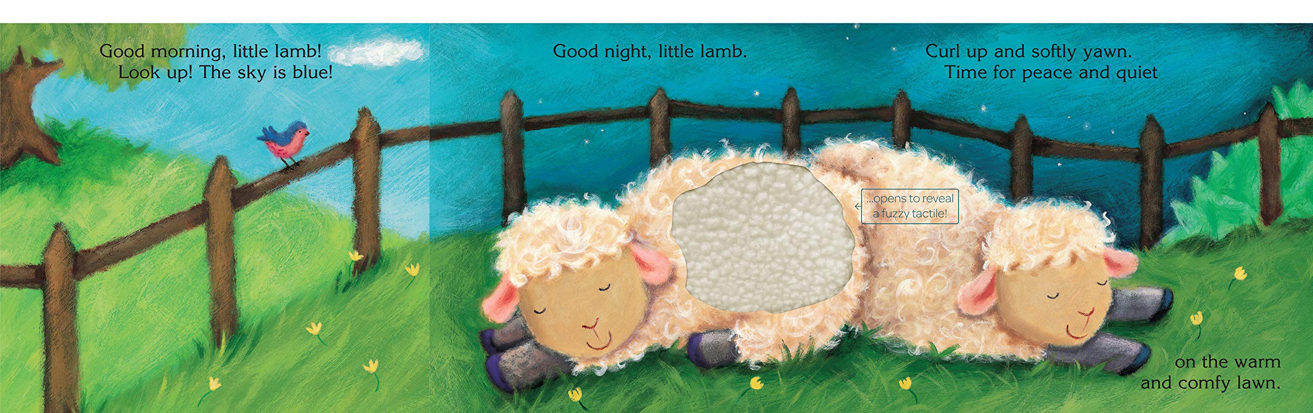Piggy Toes Libro infantil 4