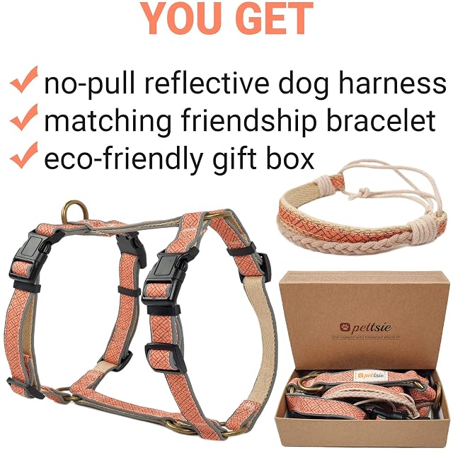 Foto 6 de 6 de Pettsie Arnés para perro sin tirones con tiras reflectantes y pulsera a juego, ajuste cómodo ajustable