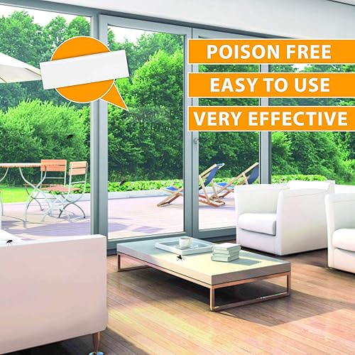 Miniatura 5 de Trampas transparentes para moscas de ventana (paquete de 13) para atrapar moscas domésticas, polillas, mosquitos, arañas, insectos. Papel