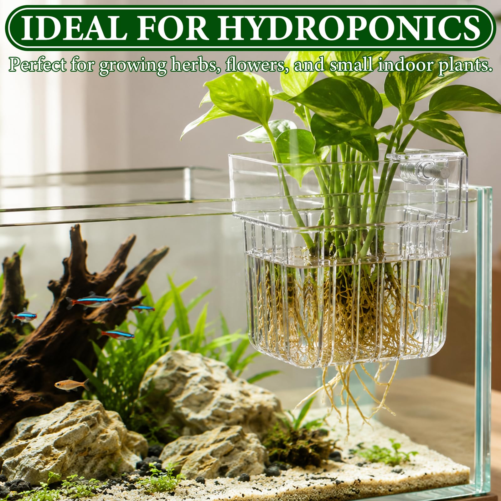 YAYODS 5 Stück Aquarium Pflanzenhalter Transparent - 4 Einzelkörbe + 1 Mehrkammerkorb - Kunststoff Pflanzkorb mit Schraub-Klemmhalterung für Wasserpflanzen, Hydrokultur und Aquascaping