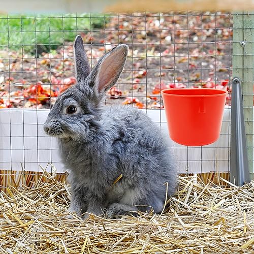 Miniatura 6 de 50 tazas de jaula para pájaros, comederos de plástico para colgar alimentos, plato de riego para alimentación de pollo, jaula de pájaros, comederos