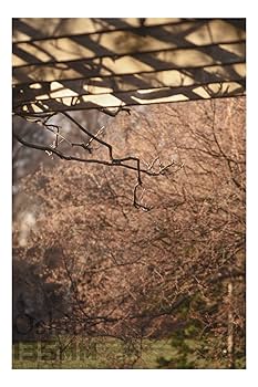 Oshiro 135?mm f / 2.8?LD UNC AL望遠フルフレームPrime Lens for Canon EOS 80d、77d、70d、60d、60da、50d、7d、6d、5d、5ds、1ds、t7i、t7s、 ggw725x Amazon.com : Oshiro 135mm f/2.8 LD UNC AL Telephoto Full