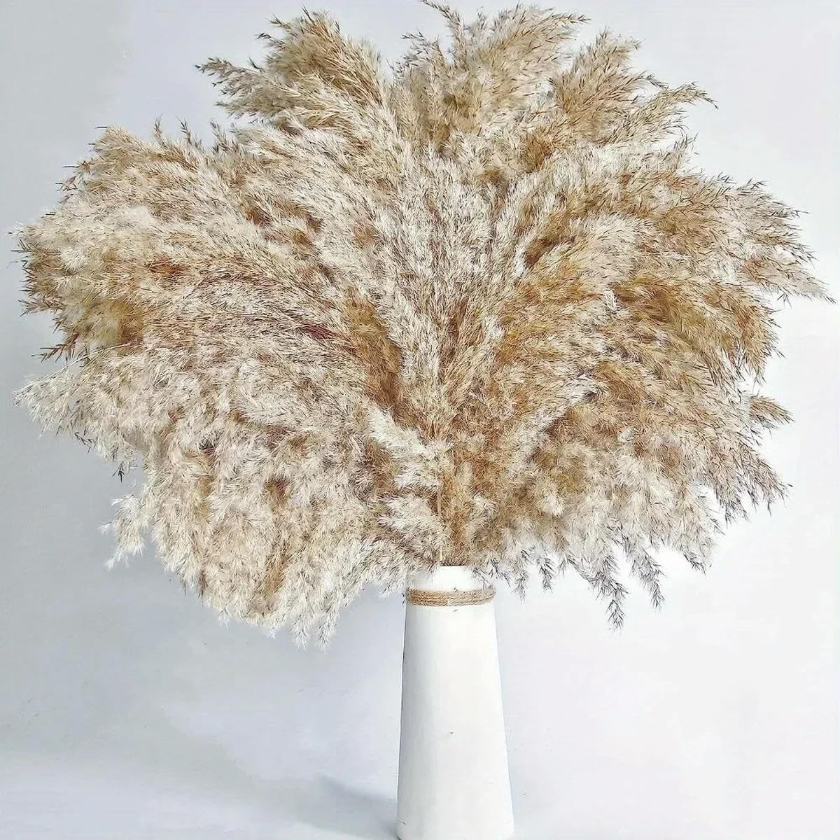 Bouquet de Fleurs séchées Naturelles en Herbe, décoration de Mariage, Arrangement Floral, Roseau Moelleux, décoration de Noël, de Ferme, de Style bohème, pour la Maison-G