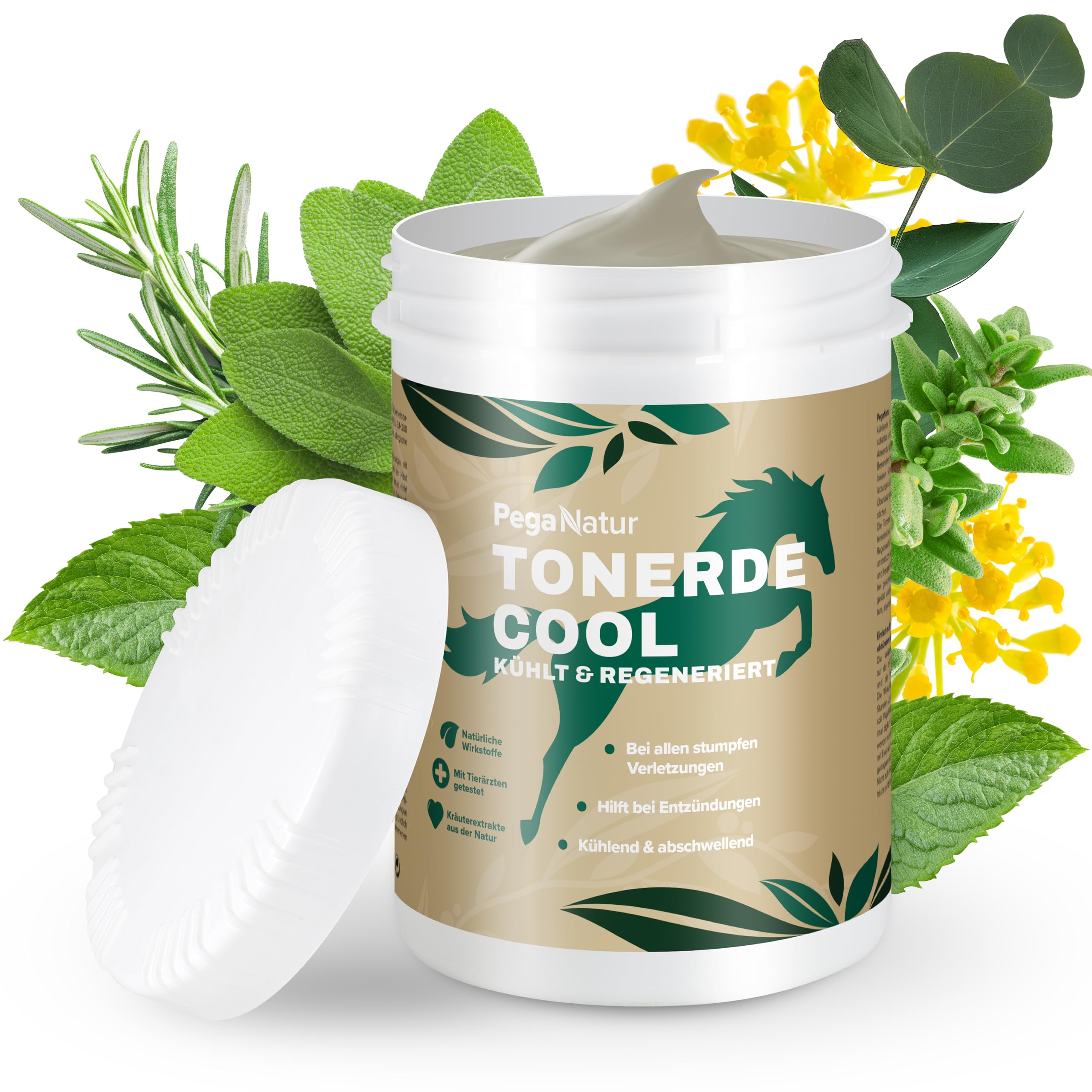 Cool Essigsaure Tonerde [wohltuend & kühlend] 2,5kg Pferdesalbe mit ätherische Öle hilft bei Regeneration, Entspannung, Bänder, Gelenke, Muskel & Muskelkater bei Pferde Pferdebalsam Heilerde