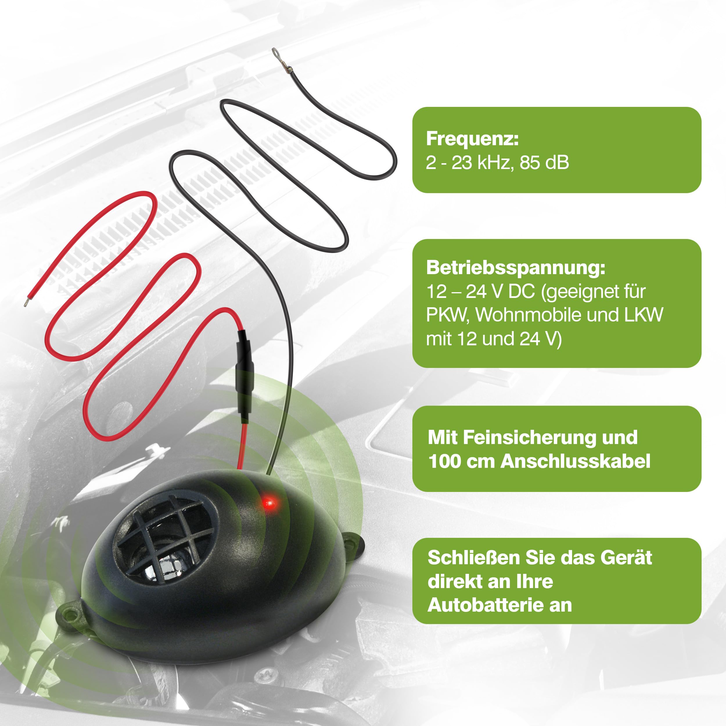 ISOTRONIC Dissuasore per martore, 12 V-24 V, ultrasuoni, camion per auto, camper (2)
