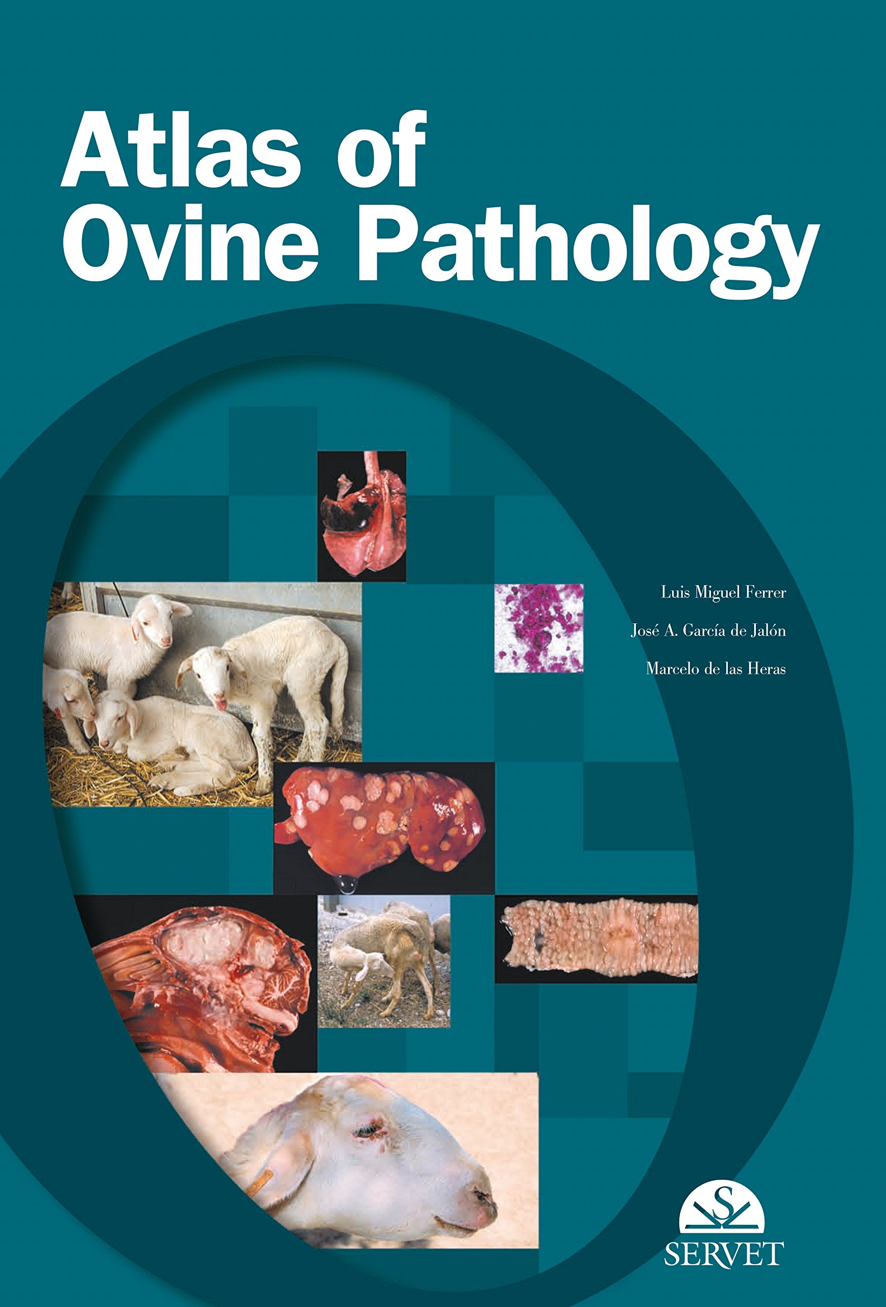 Atlas of ovine pathology