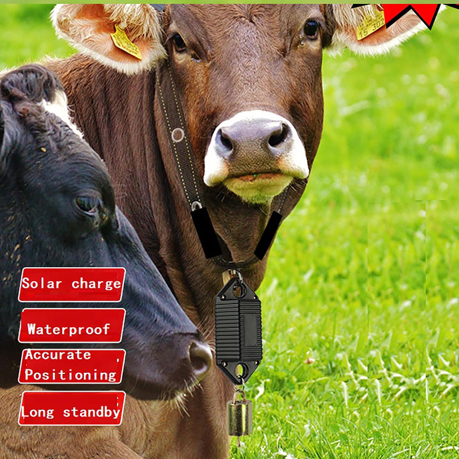 Localizador GPS de Animales, Rastreador Solar de Mascotas, Posicionamiento en Tiempo Real, Seguimiento Histórico de 90 días, para Ganado, Ovino, Caballo y Camello