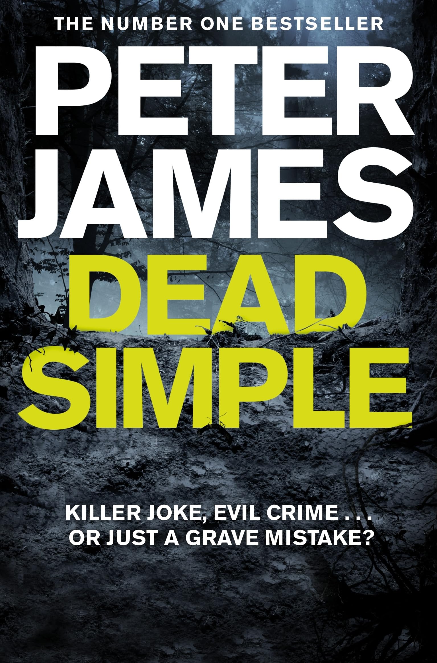 Dead Simple: Meet Roy Grace in This Pulse-Pounding Crime Thriller from the Multimillion-Copy Bestselling Author: 1