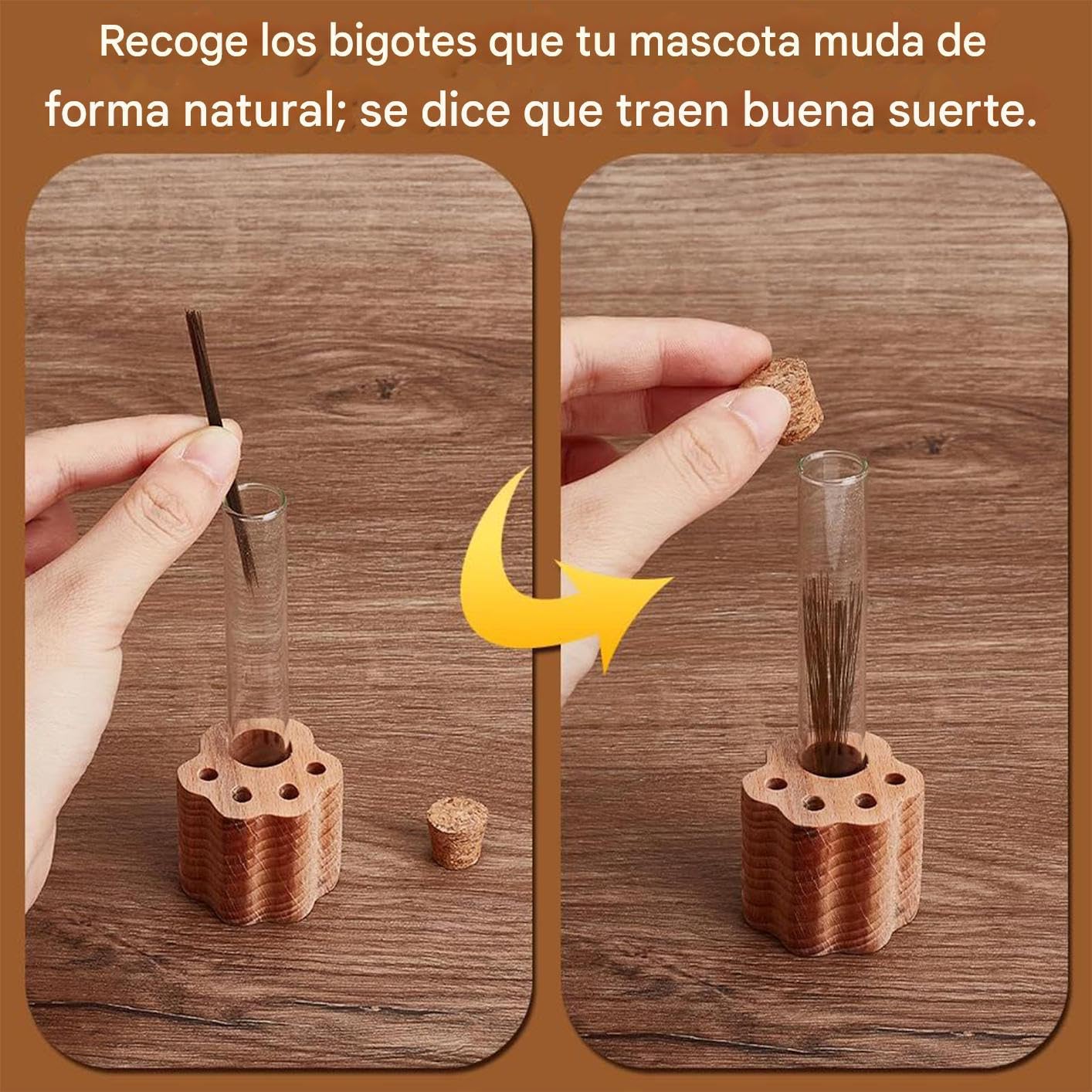 Genérico Contenedor para Bigotes de Gato | Vidrio Transparente Coleccionador de Recuerdos Conmemorativos - Soporte Conmemorativo para Mascotas | para Hombres, Adultos, Padre, Madre, Amigos, Familia