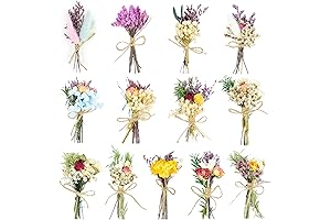 13 Pcs Mini Dried Flower Bouquet - Enhance Car Ambiance with Nature's Beauty