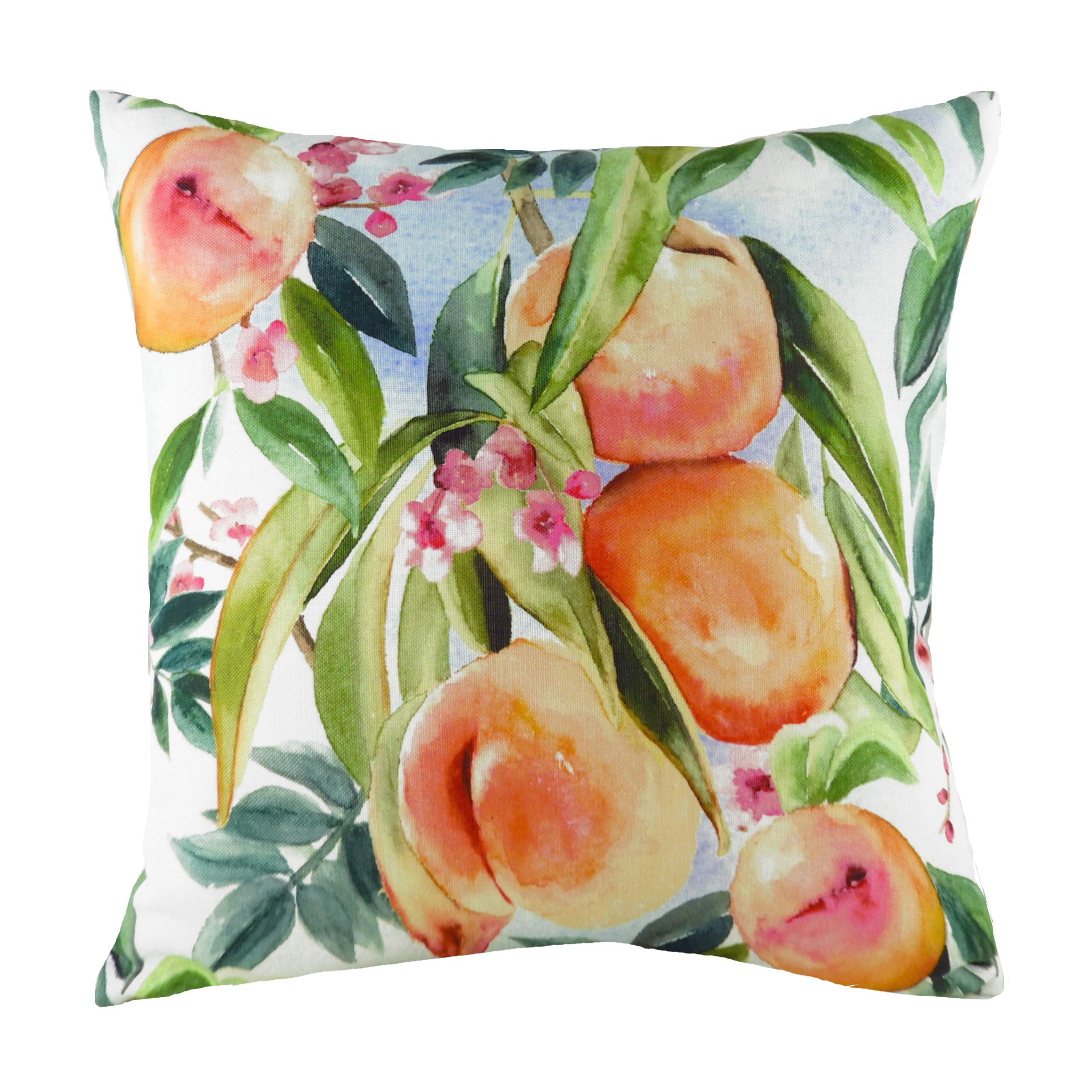 B&Q -  Fruit Peach Watercolour-Painted Polyester Filled Cushion
