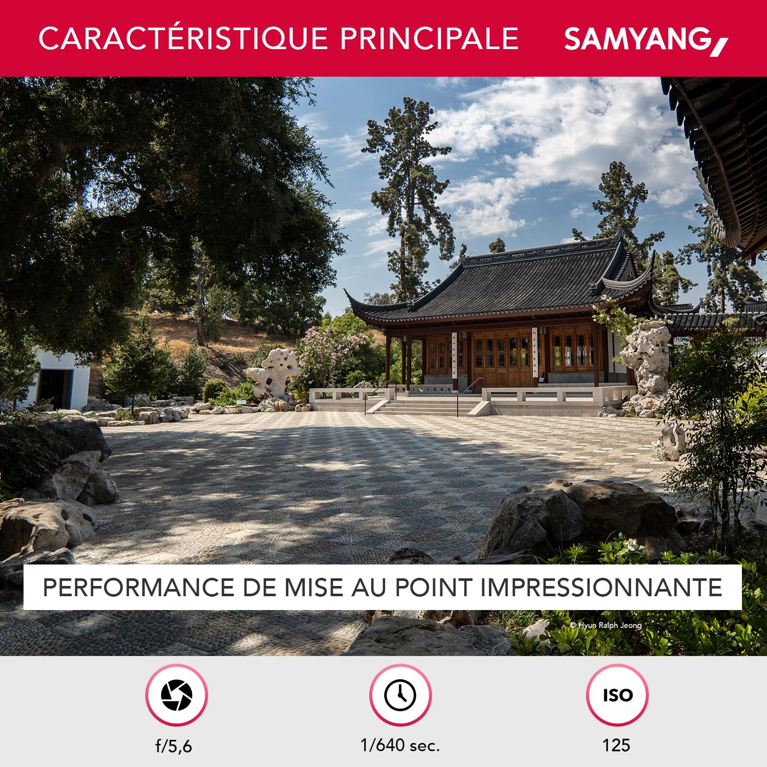 Samyang AF 12 mm F2.0 E pour Sony E - Autofocus APS-C Objectif à focale fixe grand angle pour Sony E Mount APSC