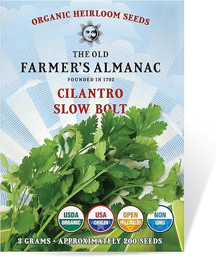 The Old Farmer's Almanac Semillas de Cilantro Orgánico Tradicional (Boleo Lento) - Aprox. 180 Semillas - Orgánico Certificado, Sin OMG, Polinización