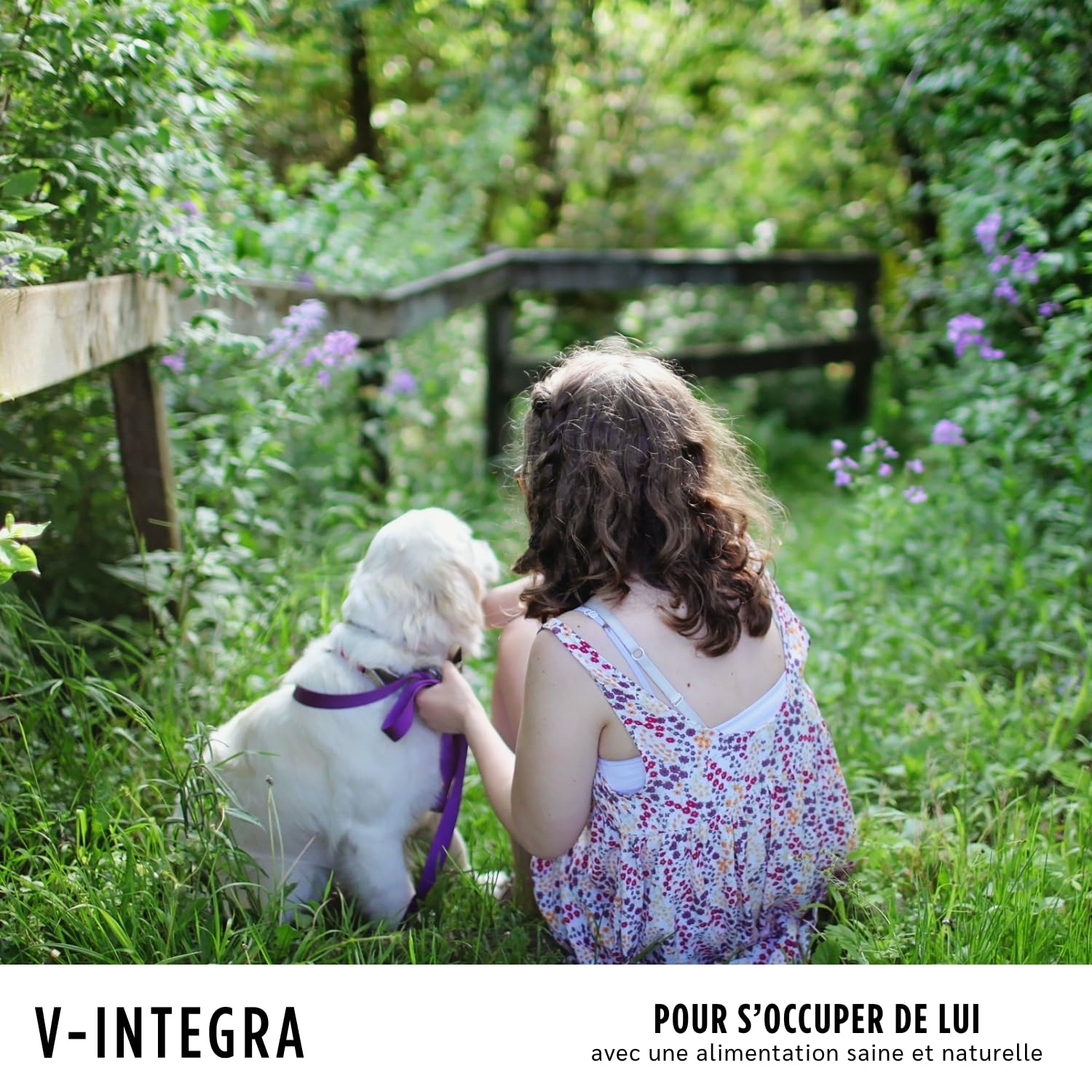 V-INTEGRA Chiot - Supplément Complet Riche en vitamines et minéraux pour la Ration ménagère et Barf des Chiots - 500 g - Produit en Italie