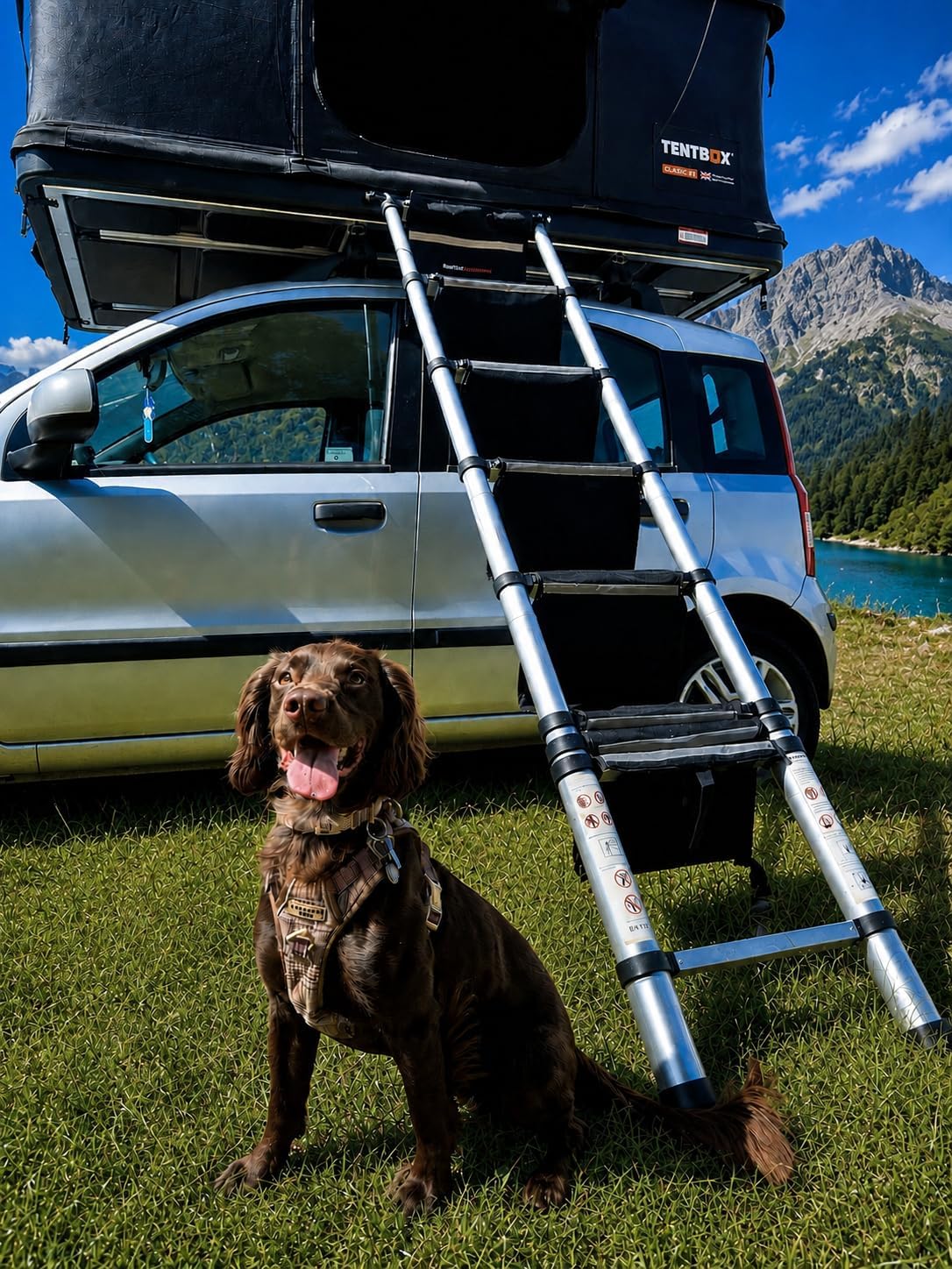 Universal Ladder Steps Attachment ONLY with Padded Acrylic Step Plates, Dog/Sensory/Kids Friendly, 6 Steps Suitable for 7.5Ft (2.3m) and 8.5Ft (2.6m) Telescopic Ladders - Roof Top Tent Accessories