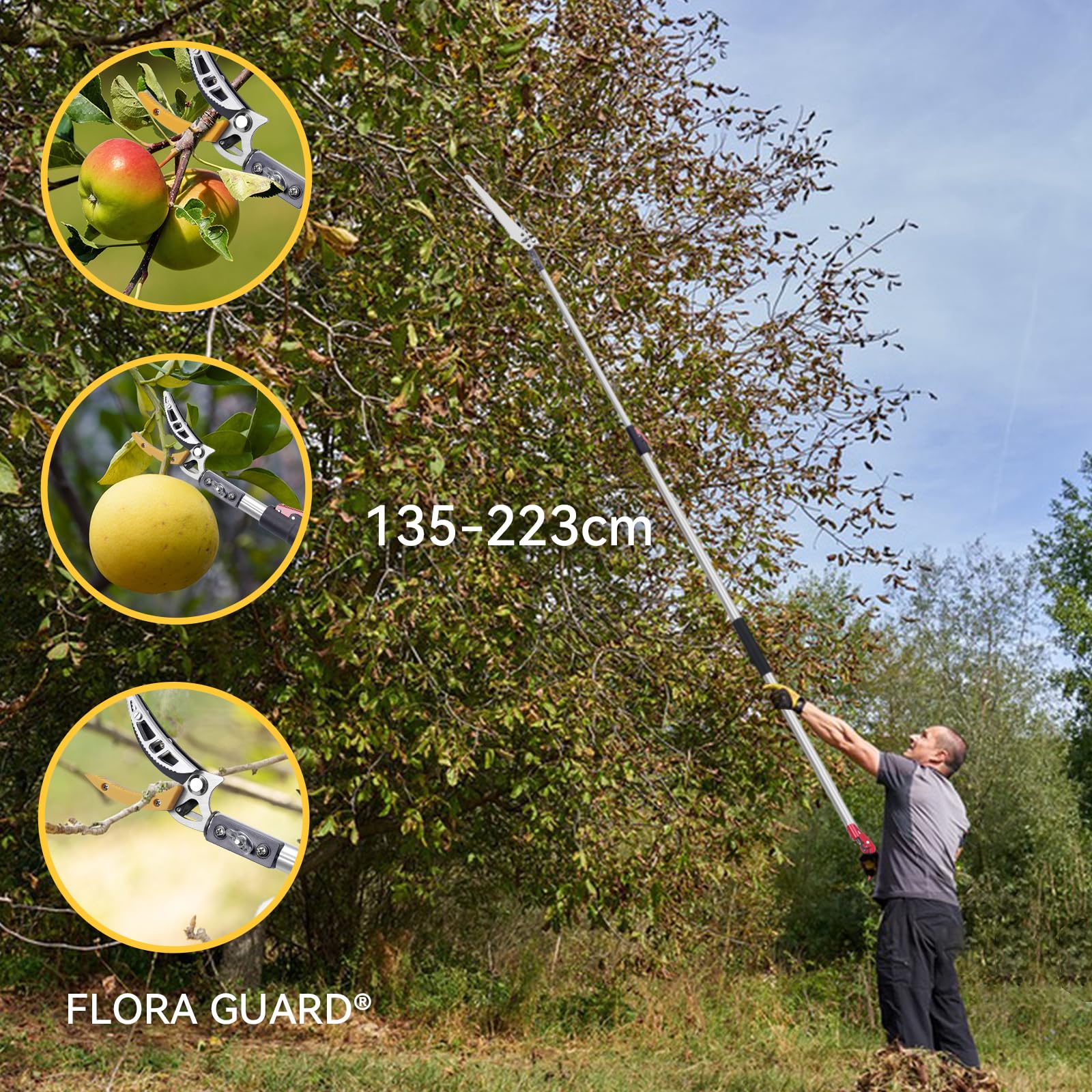 FLORA GUARD sécateur télescopique 1,3–2,2m pour branches et rameaux frais, scie à branches télescopique, scie à arbre avec dents SK5 3D, sécateur à fruits pour le jardin et l'extérieur