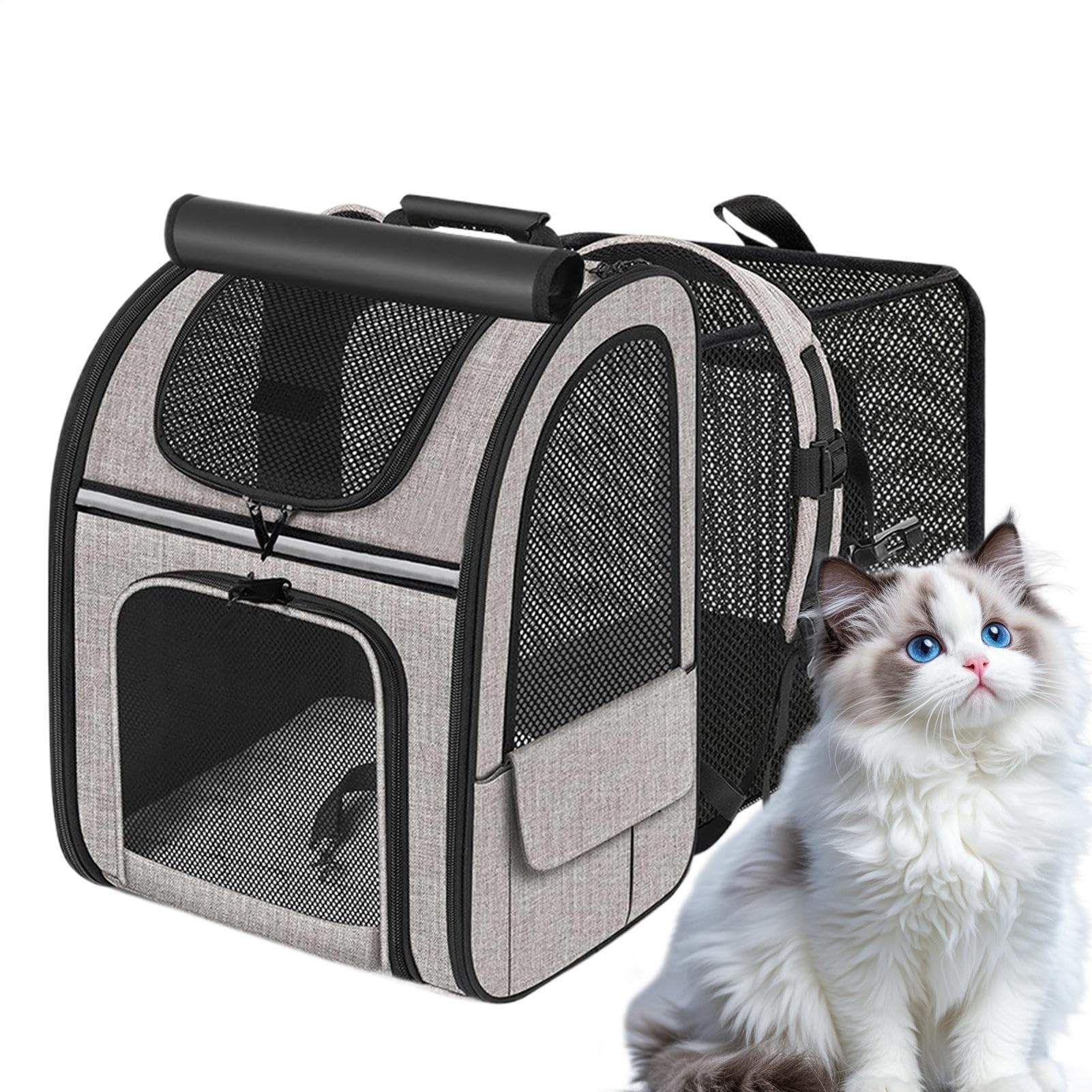 Sac à dos extensible pour chat idéal en camping et randonnée en plein air
