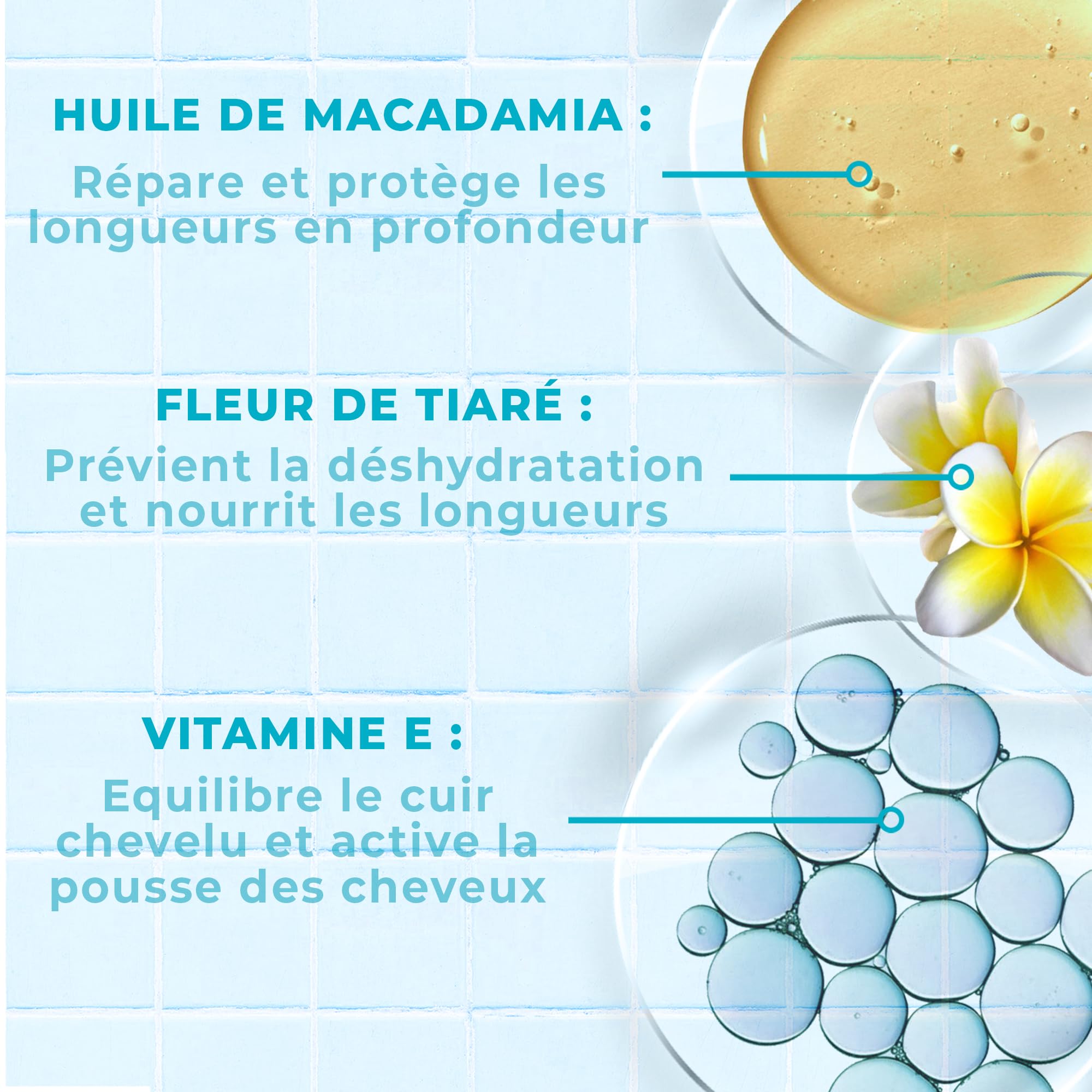 Energie Fruit Shampooing Monoi et Huile de Macadamia Bio 250ml Vegan, NC, 250 Milliliters - Image 4