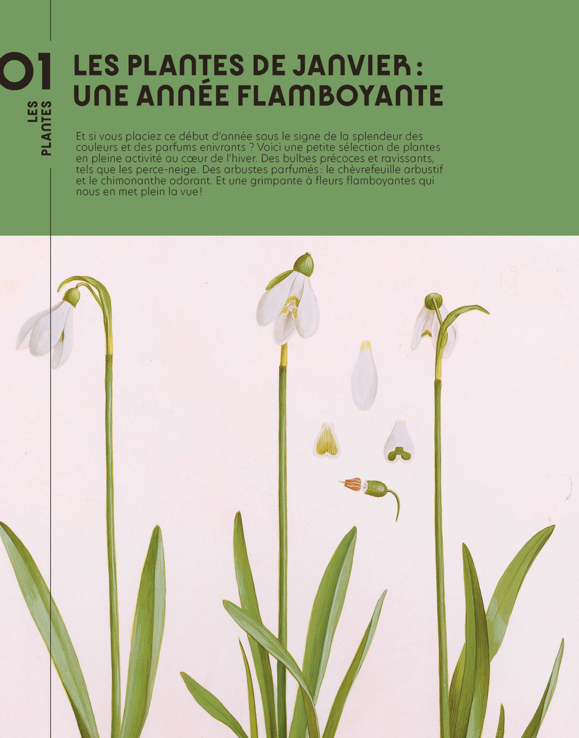 Quatre saisons au jardin