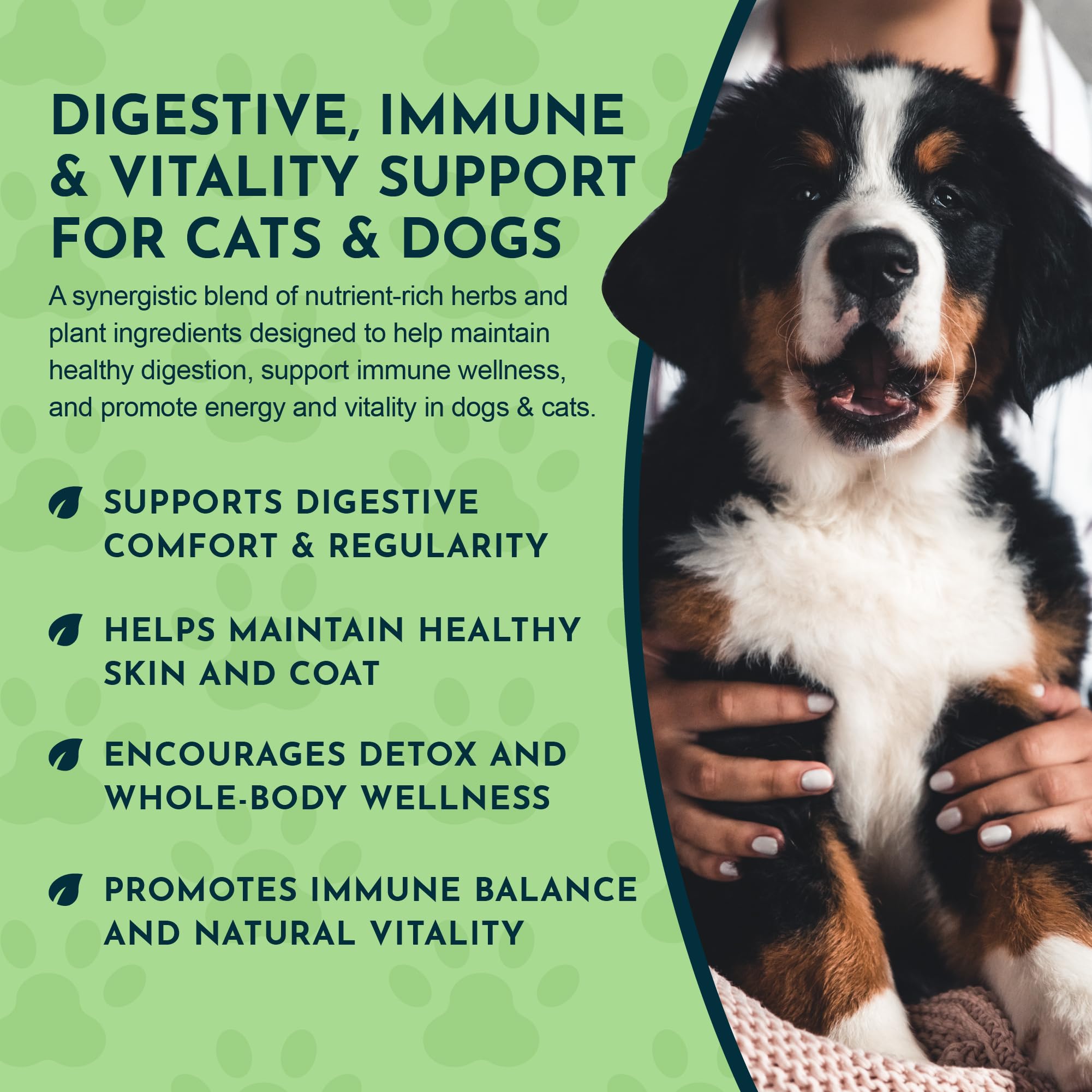 Animal Essentials Herbal Green Alternative Dog & Cat Antioxidant 12-Oz. - 2 Pack