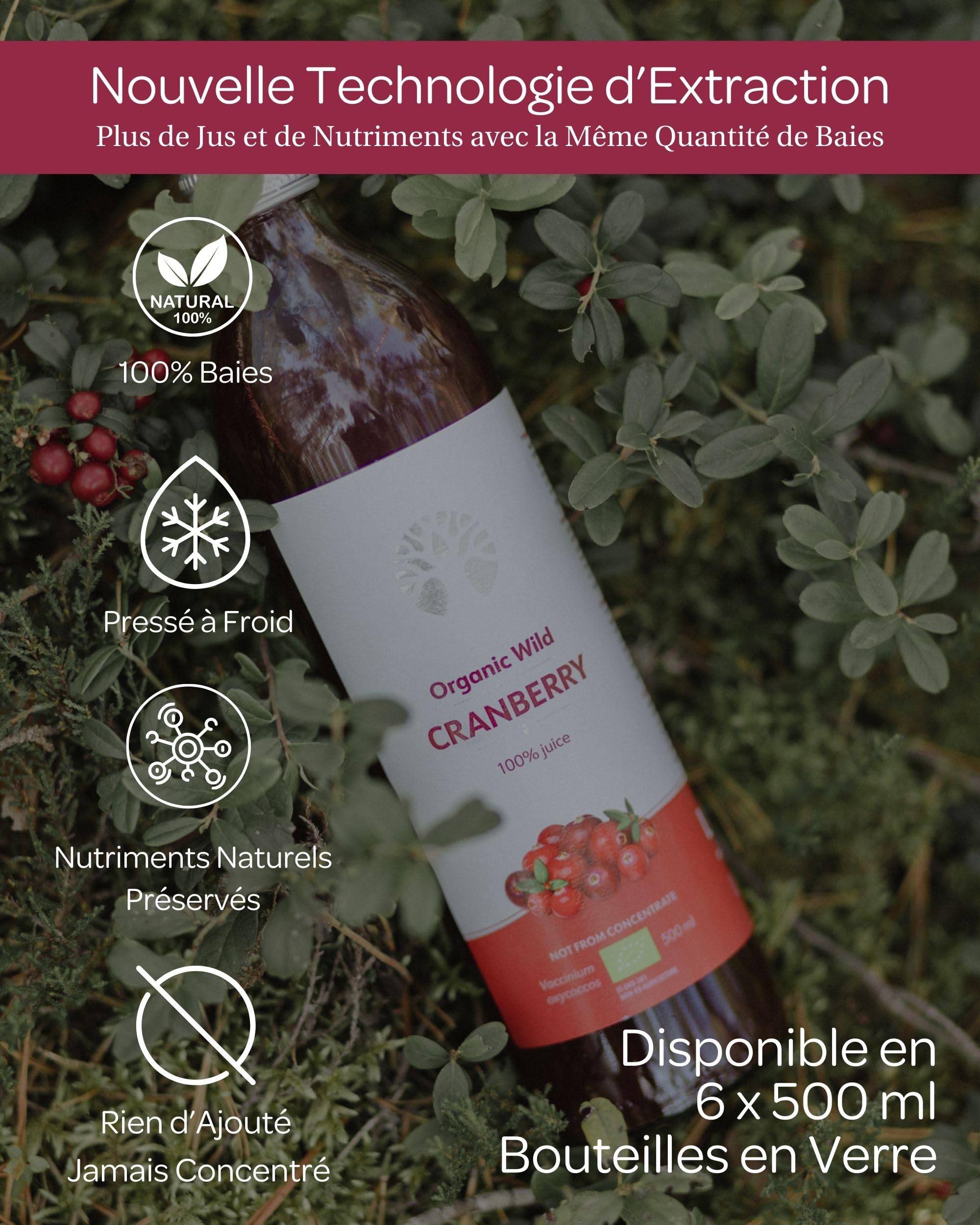 Jus de canneberge sauvage bio – 100% pur, pressé à froid, sans sucre ni eau ajoutés – 6 bouteilles en verre de 500 ml