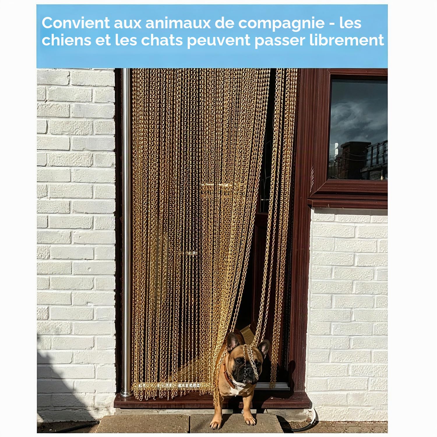 Store à Enrouleur en Aluminium 90 × 200 cm avec chaîne, Anti-Mouches et Anti-Insectes, pour la Protection Contre Les nuisibles, pour Portes et fenêtres, décoration d'intérieur (doré)