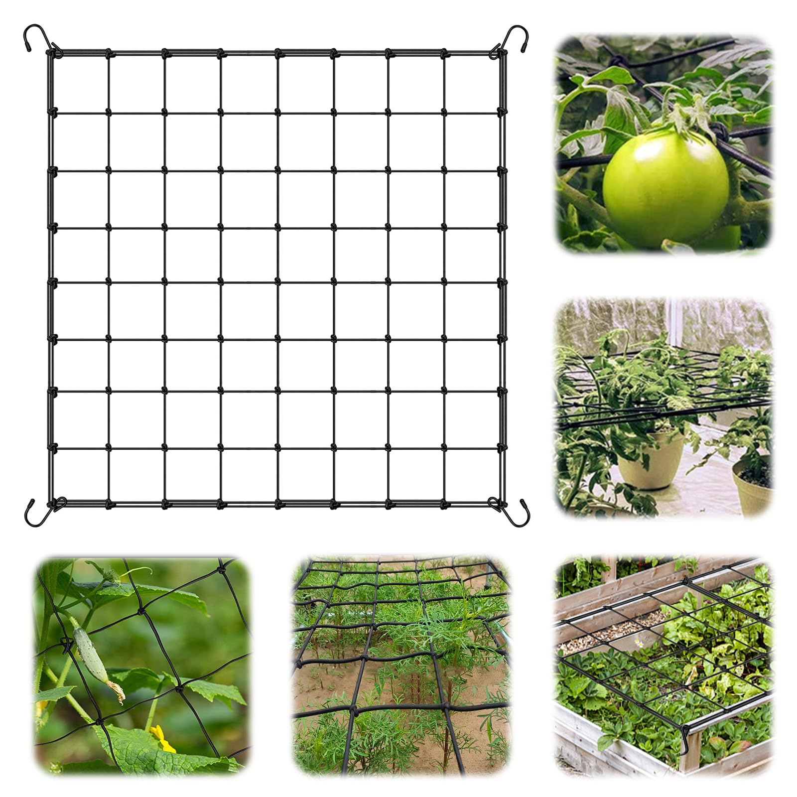 Rete Per Piante Rampicanti In Nylon 80x80 Cm – Tenda Di Supporto Per Giardinaggio, Idroponica E Orto, Con 4 Ganci E 100 Fascette