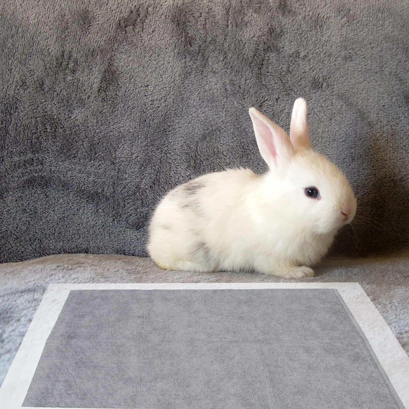 IMIKEYA 100 Pièces Tapis Urinaire pour Animaux Tapis d'apprentissage Propreté pour Animaux de Compagnie en Tissu Non Tissé, Anti-Fuite, Facile à Transporter Ranger, pour Lapin et Animal