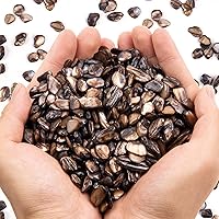 Vista 19 de QICQDRAM Conchas trituradas para manualidades de aproximadamente 1 libra (14.29 oz/14.28 onzas), pequeñas conchas naturales trituradas a granel