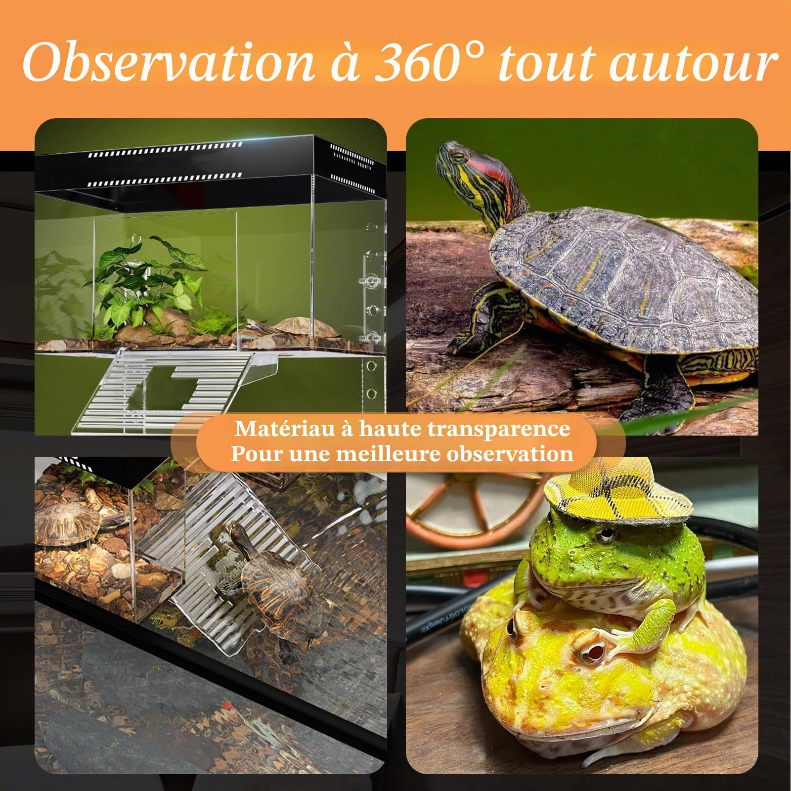 Plateforme de repos pour tortues à hauteur réglable suspendue avec couvercle et rampe, 25×16×16 cm, petit enclos d'aquarium transparent en PC au-dessus du réservoir pour bébés tortues terrestres