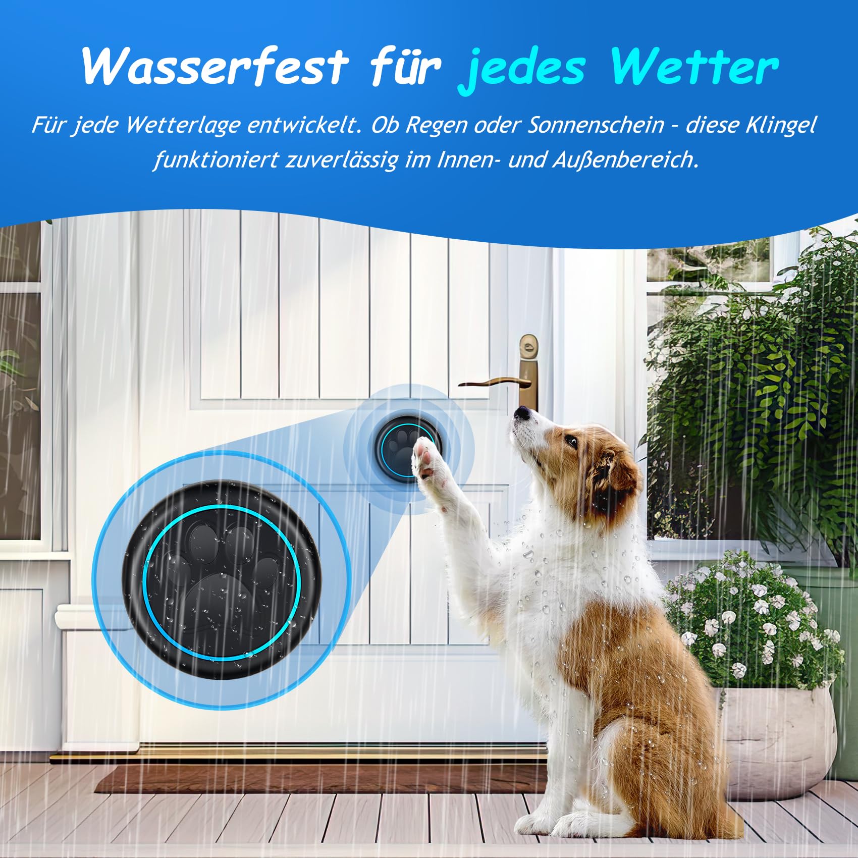 A6 Blk Katzen- & Hundeklingel für Tür – Kabellose Haustier-Türklingel, 300 m Reichweite, 60 Melodien, LED-Signal, Wasserdicht, Buzzer für Hund & Katze (1 Klingeltaster + 1 Empfänger)