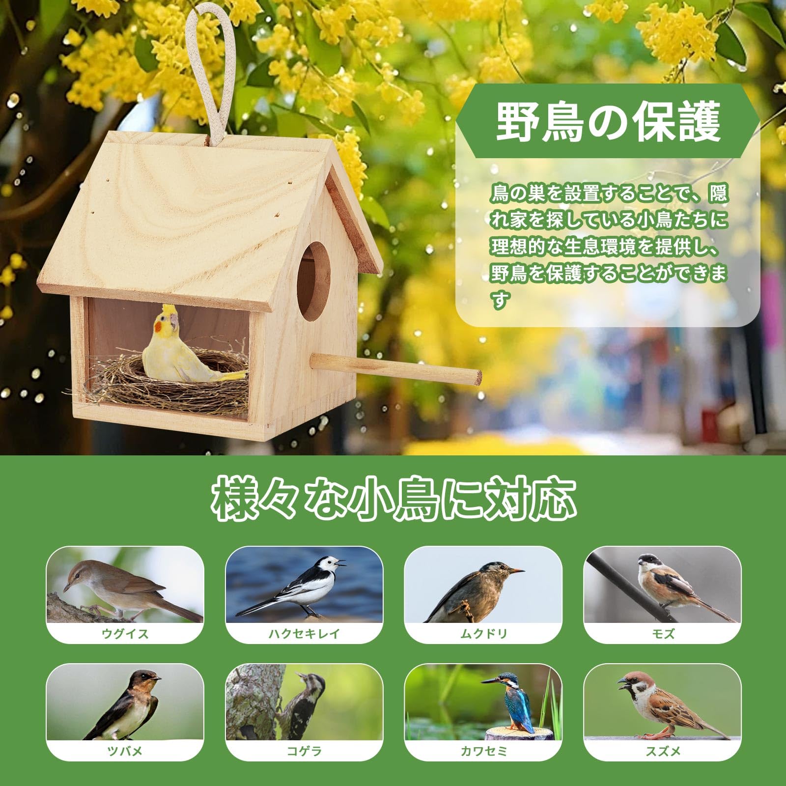 Amazon.co.jp: aleawol 野鳥用巣箱 完成品 鳥の巣 透明な覗き窓付き