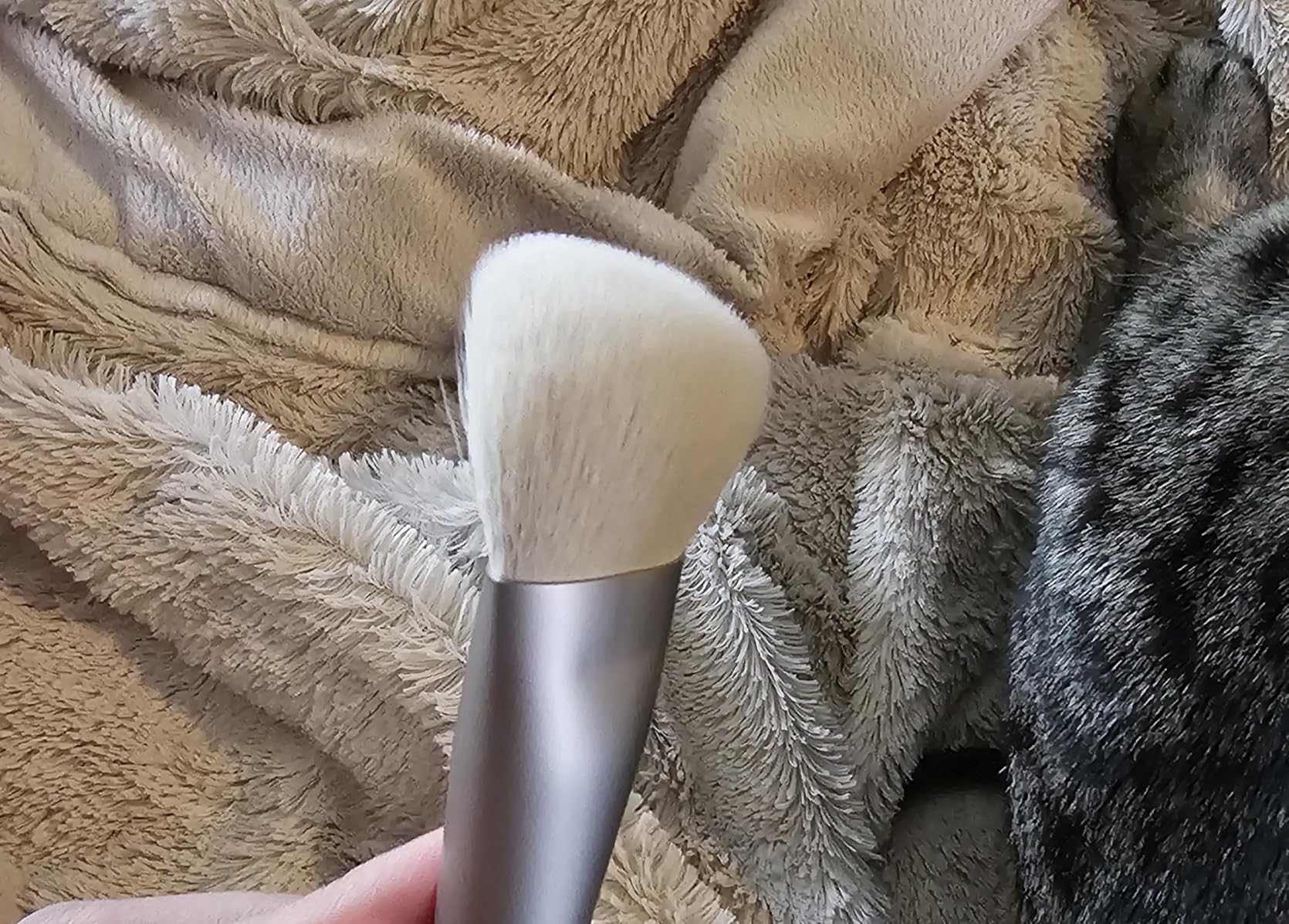 The Blush Brush photo review